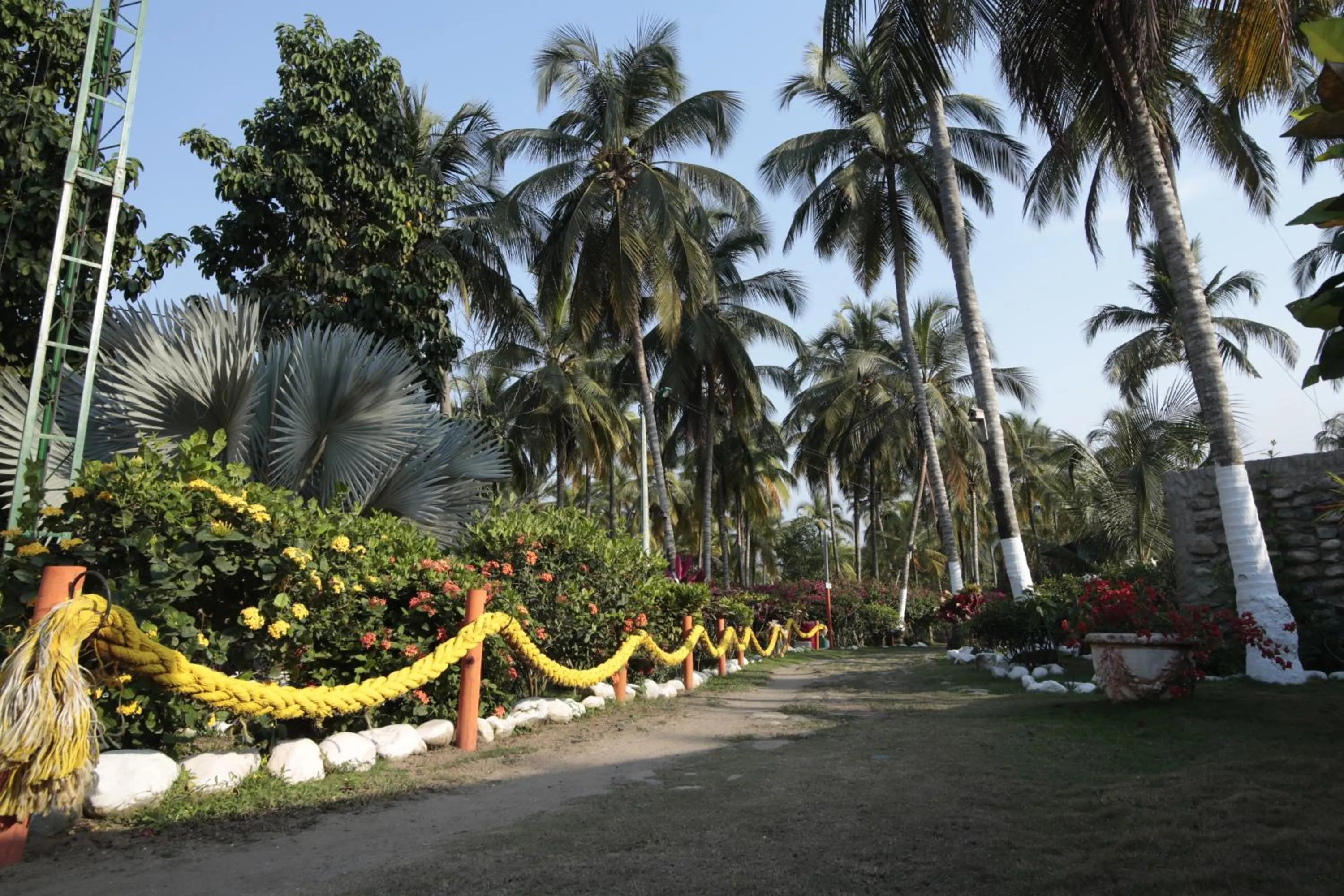 Garden in Praba Hostel