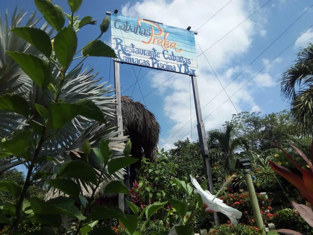 Logo/Certificate/Sign in Praba Hostel