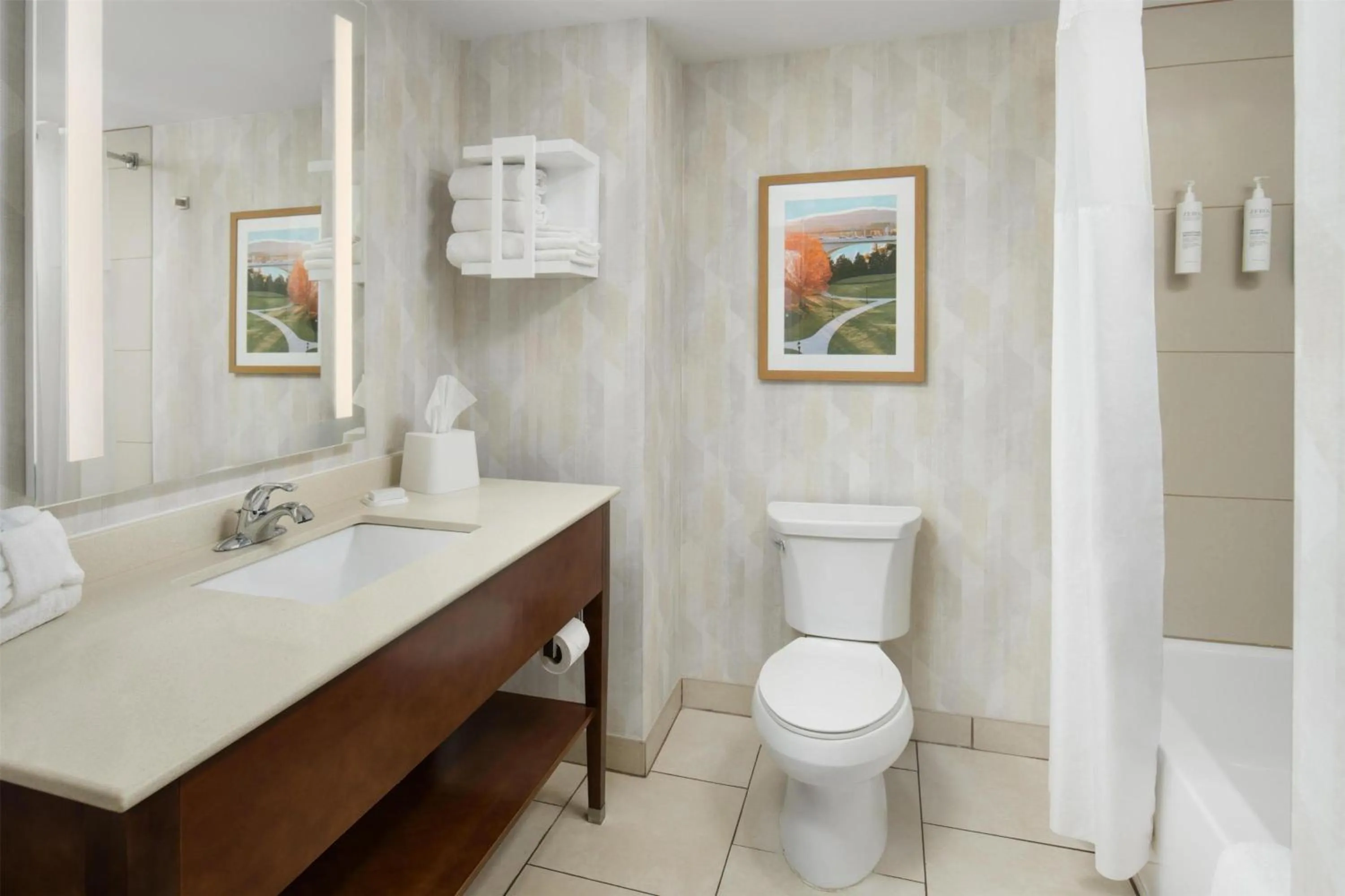 Bathroom in Hampton Inn Kimball