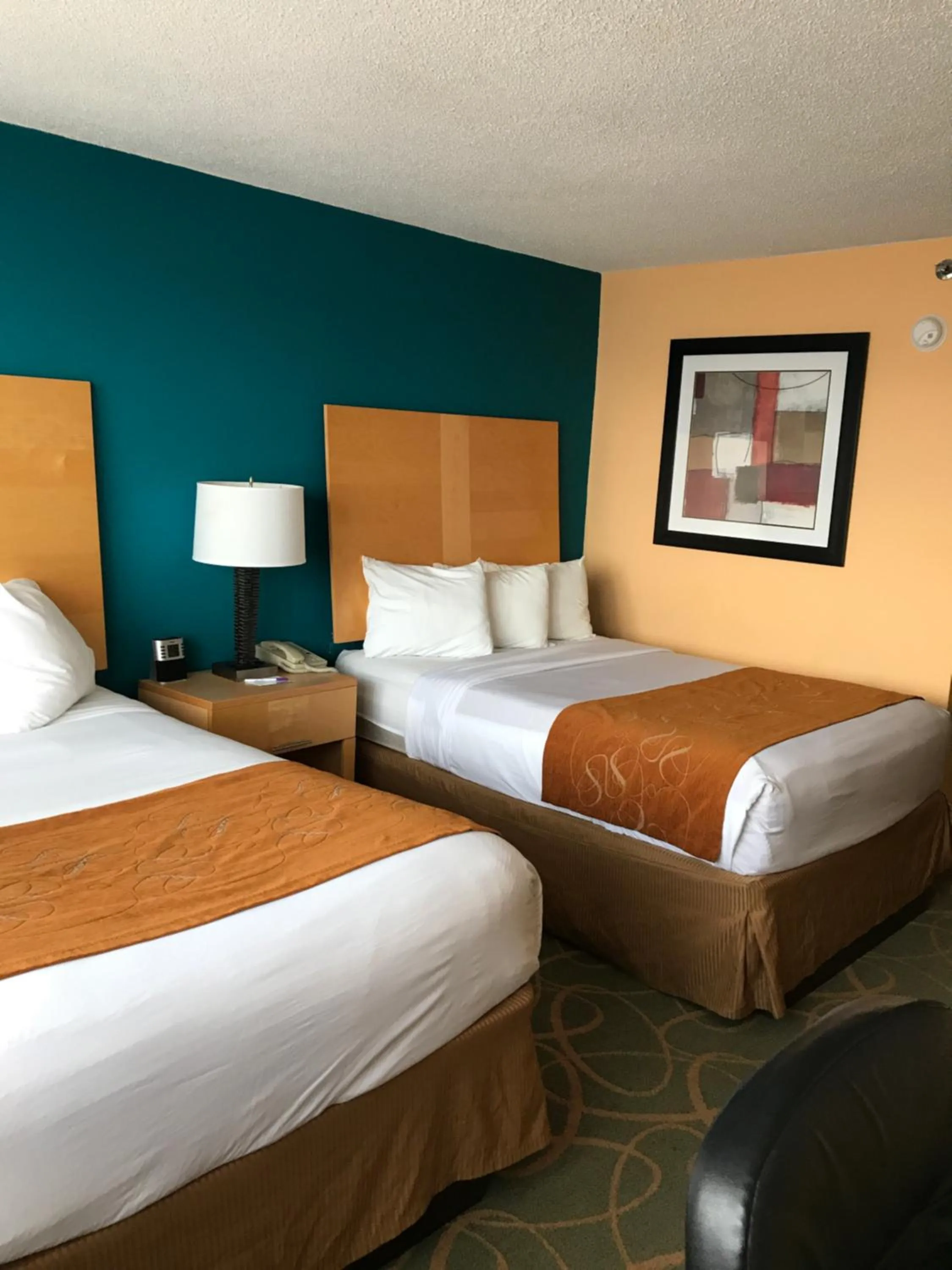 Photo of the whole room in Trip Hotel Ithaca