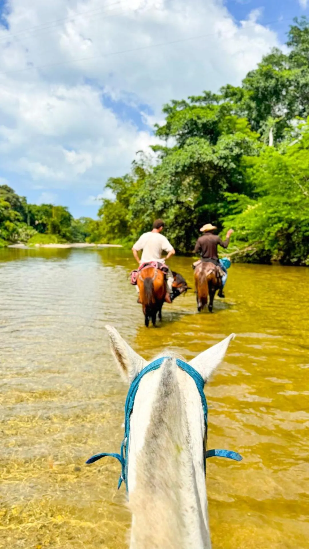 Horse-riding in Aite Eco Resort