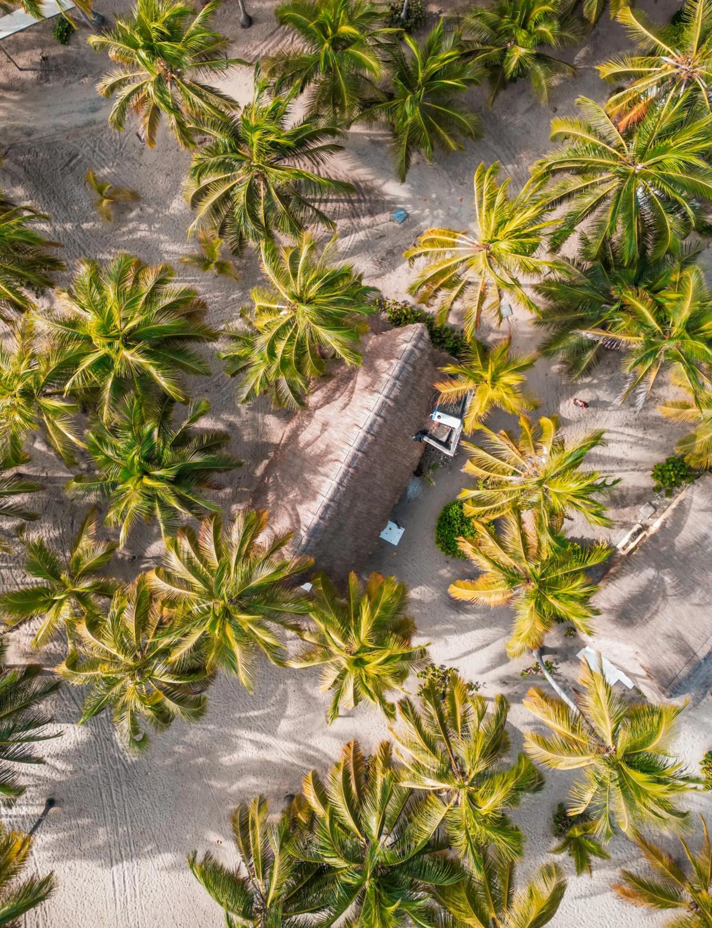 Property building in Aite Eco Resort