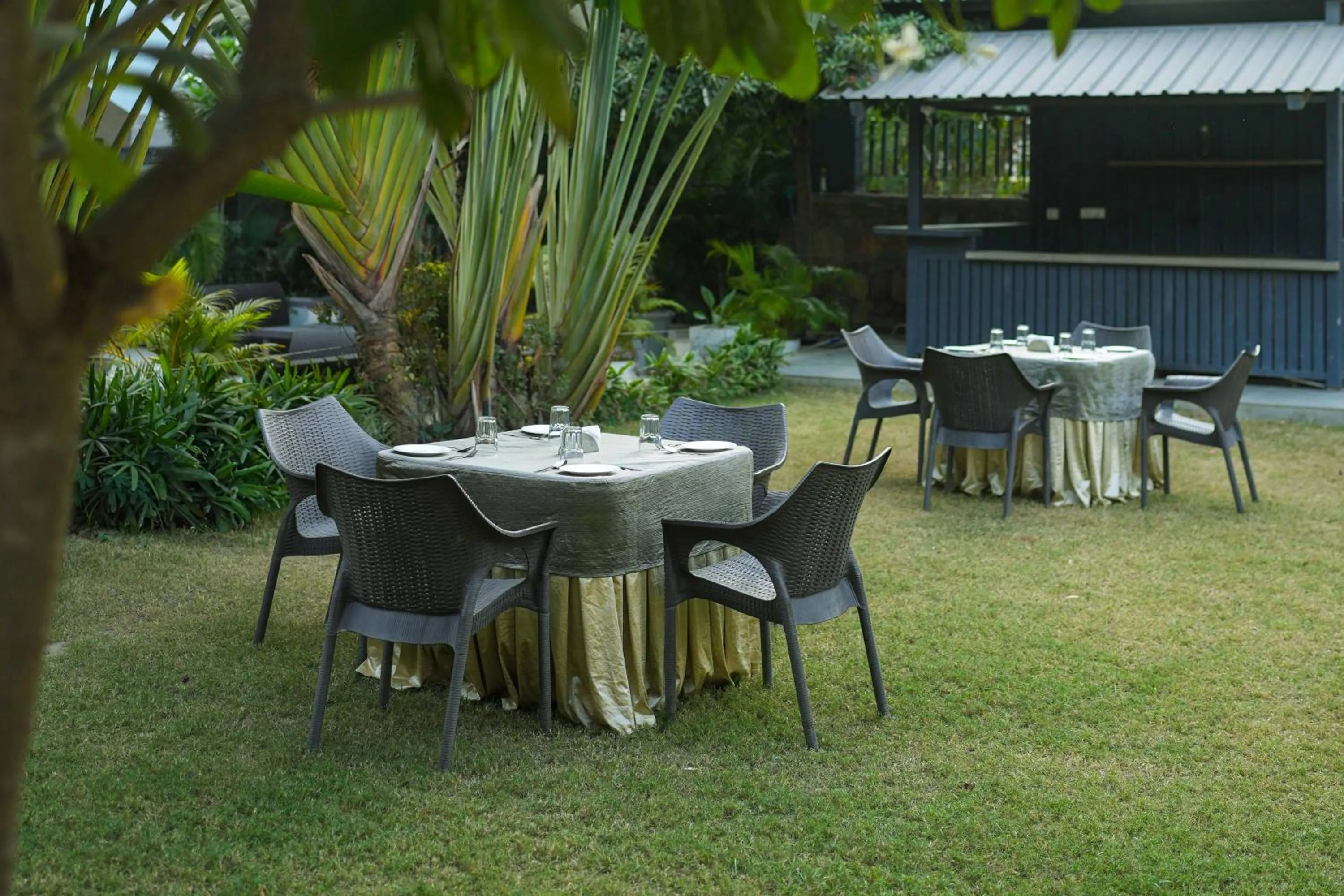 Garden in Medalio Resort Udaipur Shobhagpura