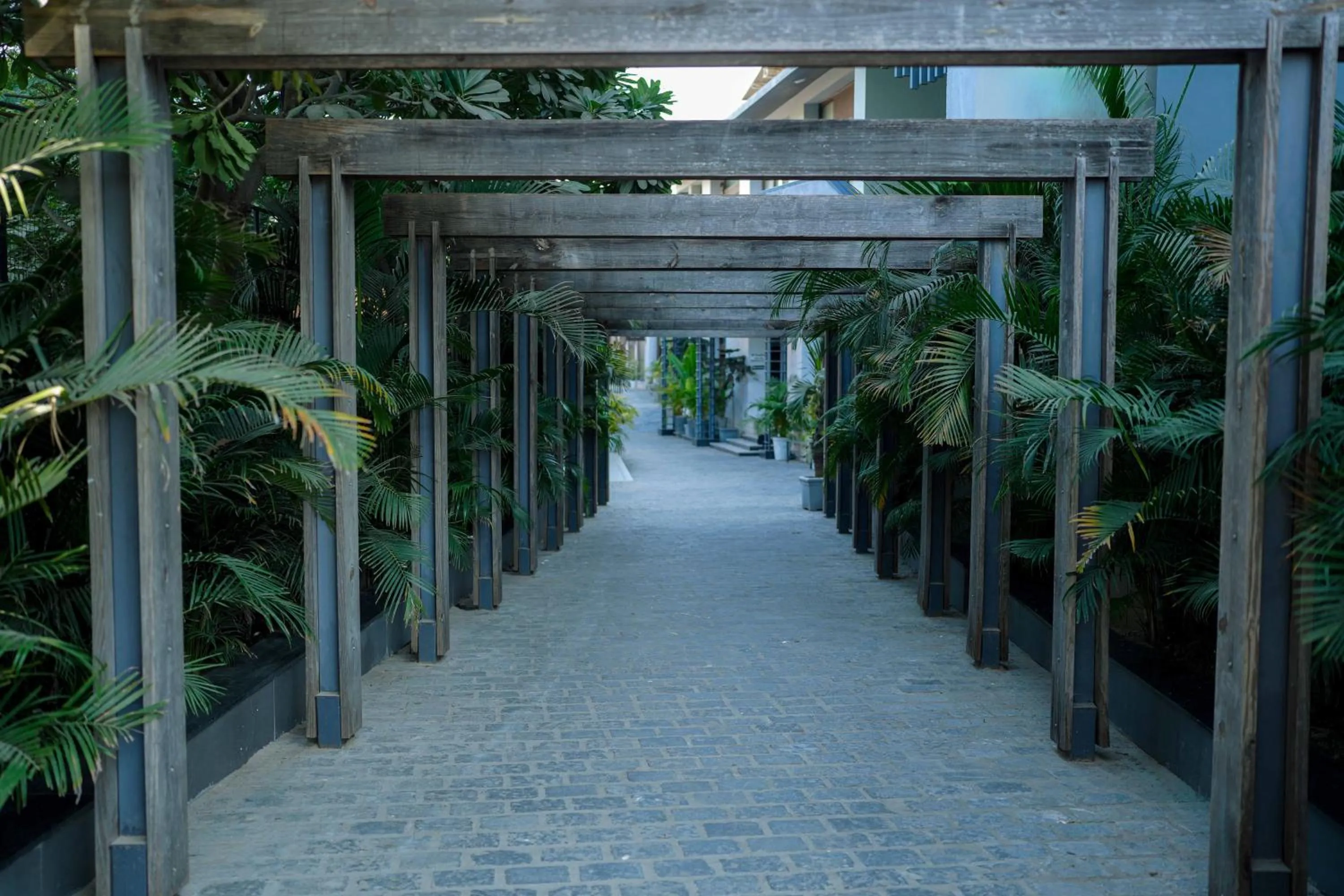Facade/entrance in Medalio Resort Udaipur Shobhagpura