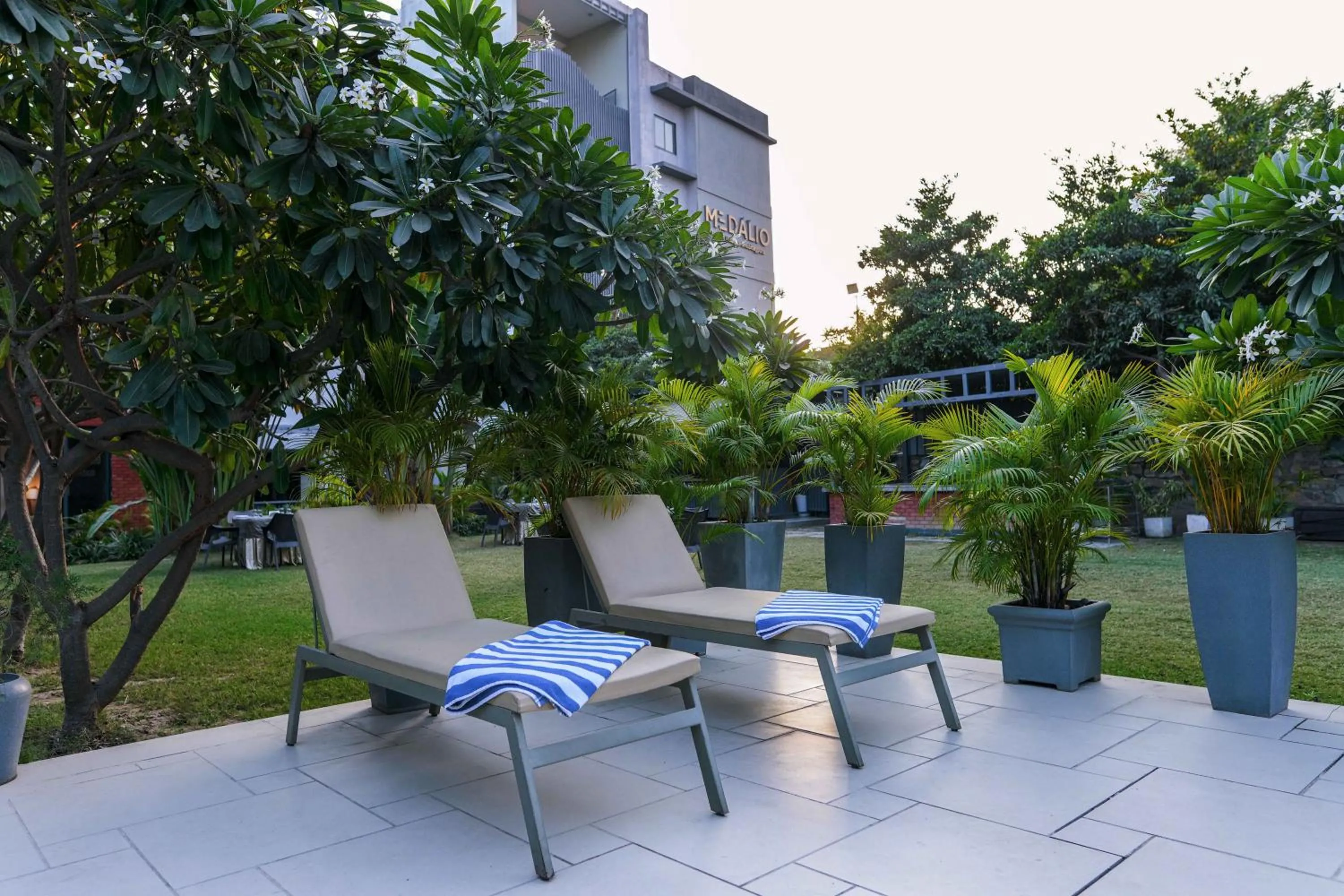 Garden in Medalio Resort Udaipur Shobhagpura