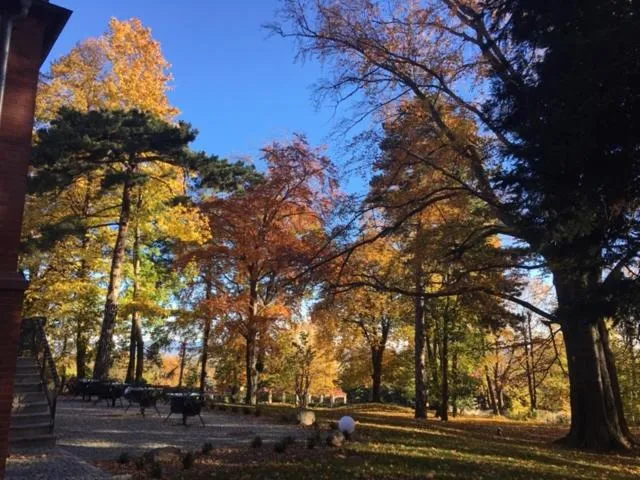 Garden view in Hotel Villam