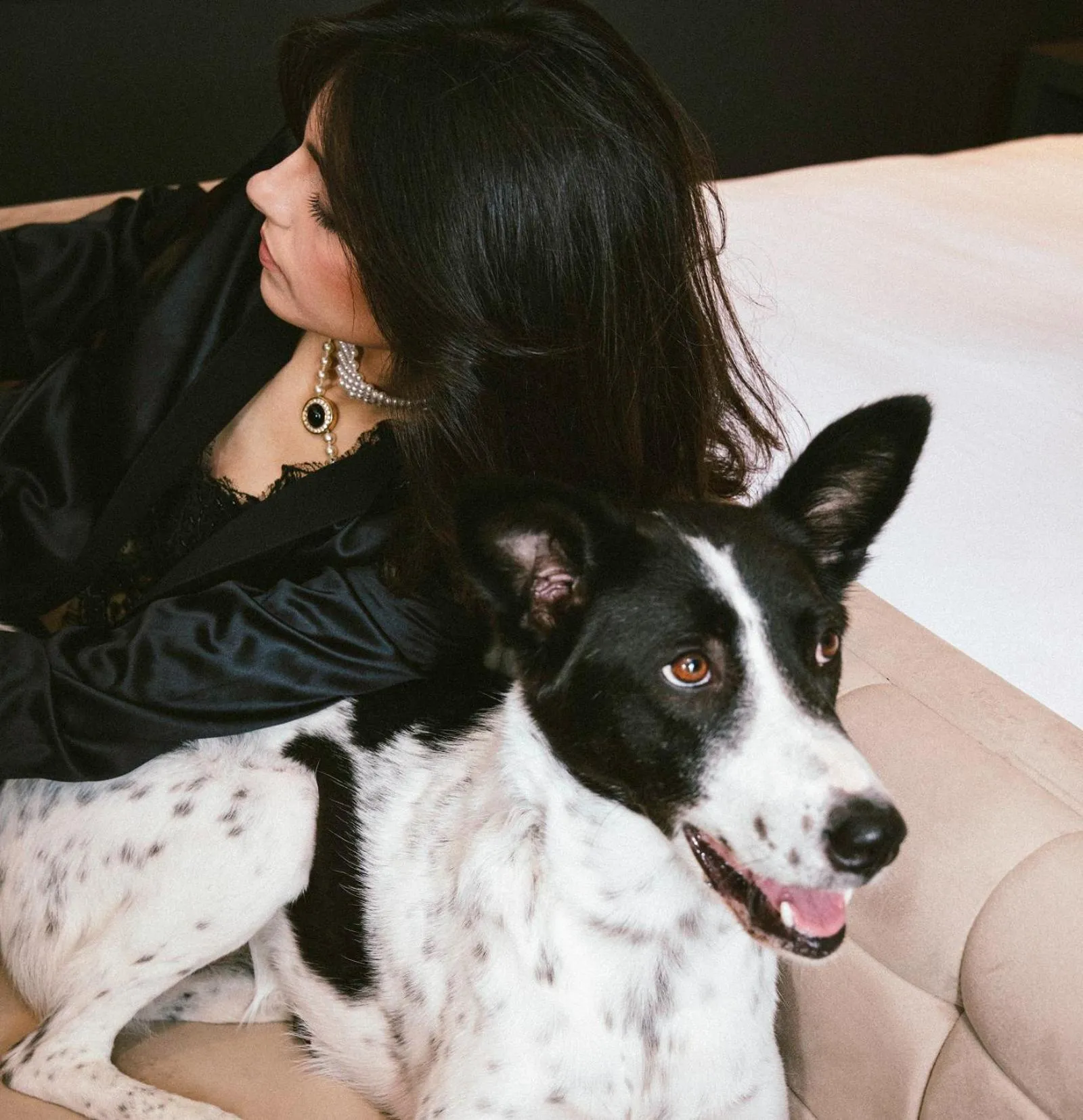 Pets in Brown Lighthouse Tel Aviv, a member of Brown Hotels