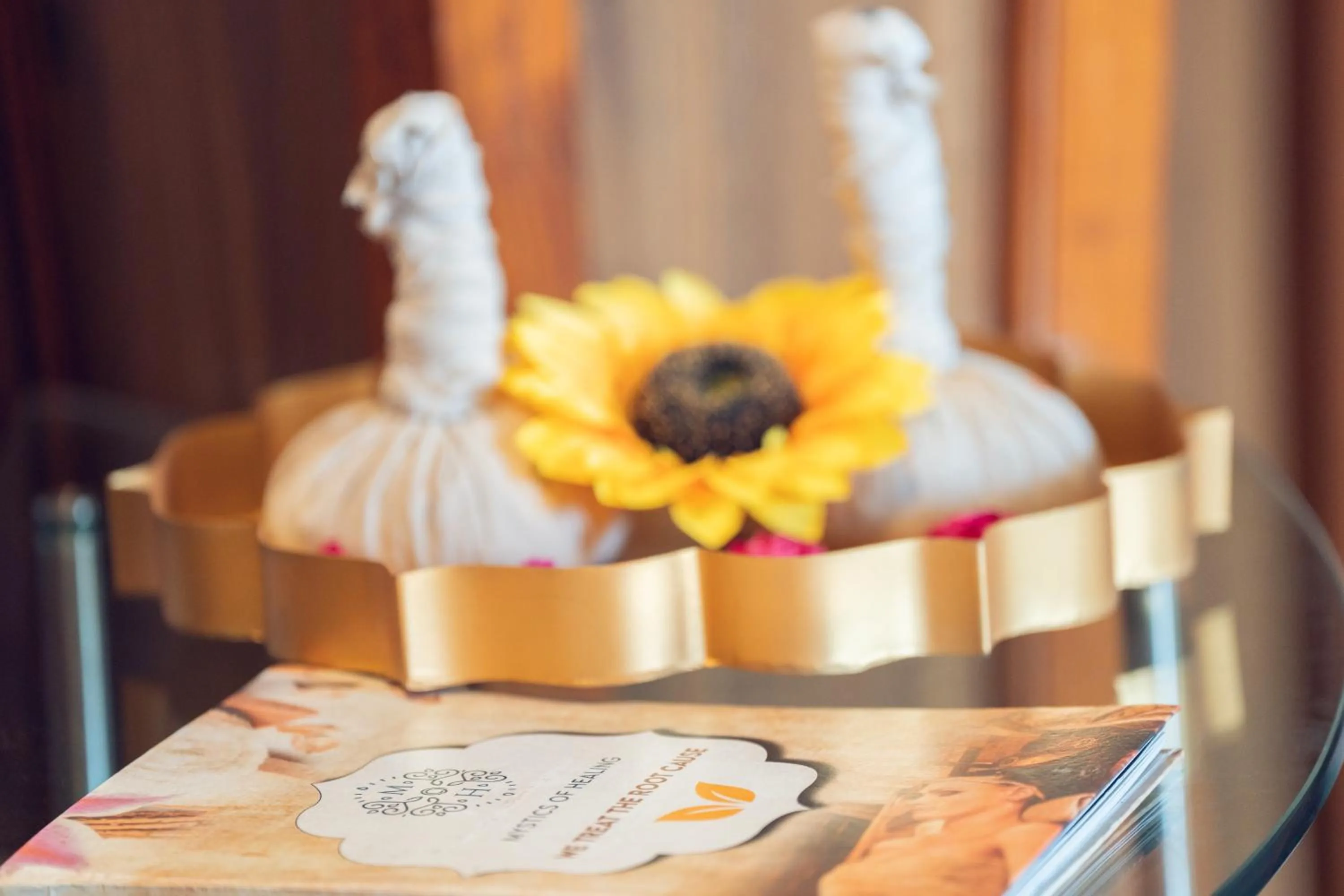 Spa and wellness centre/facilities in Om Vilas Benares, Varanasi