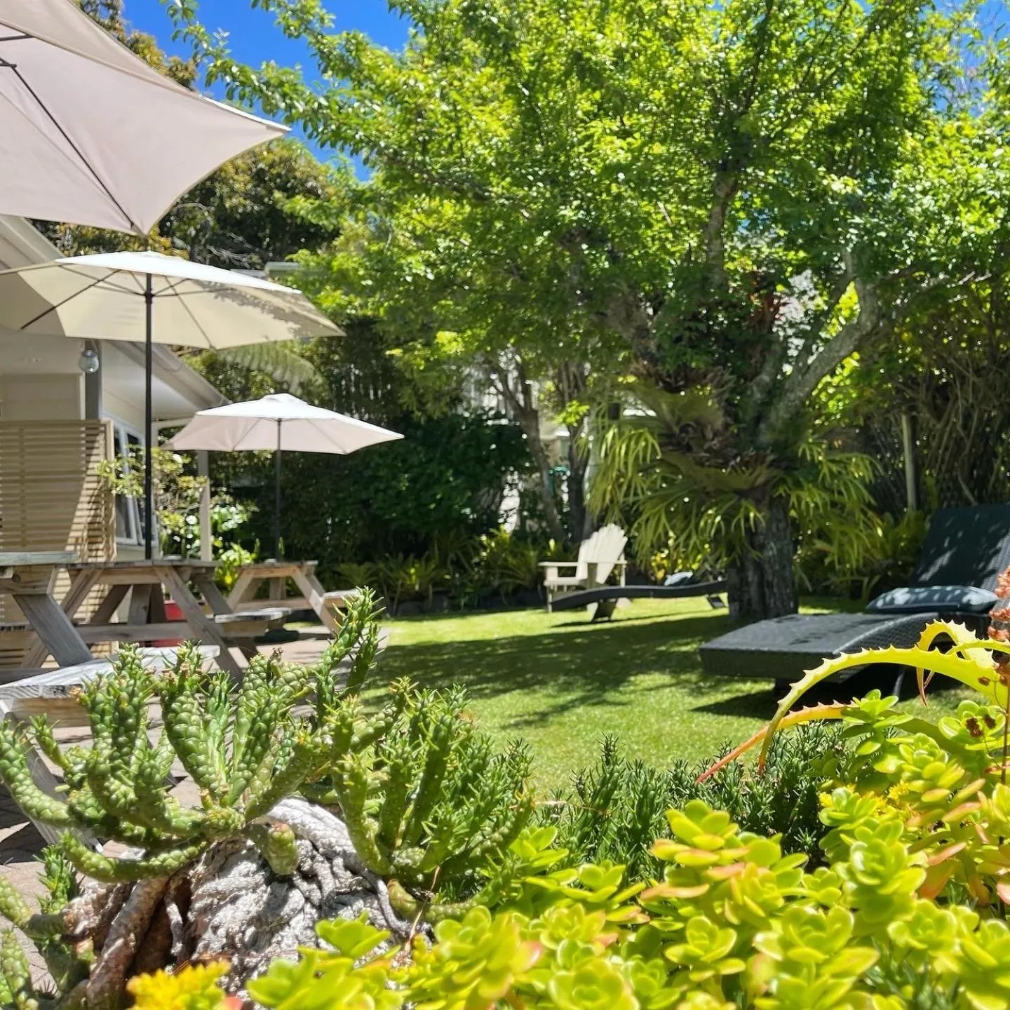 Garden in Tatahi Lodge Beach Resort