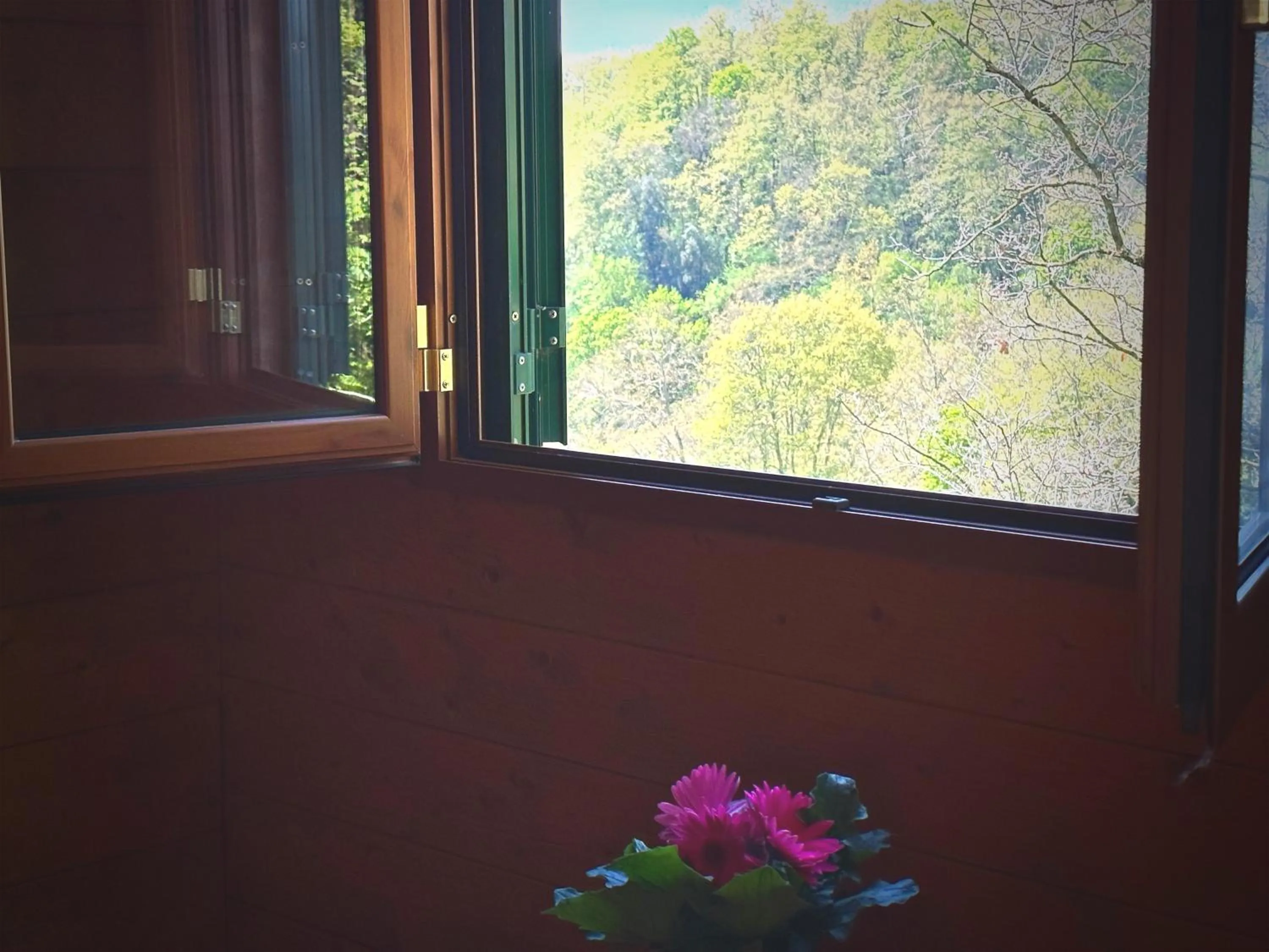 Night in the Wood Sorbo