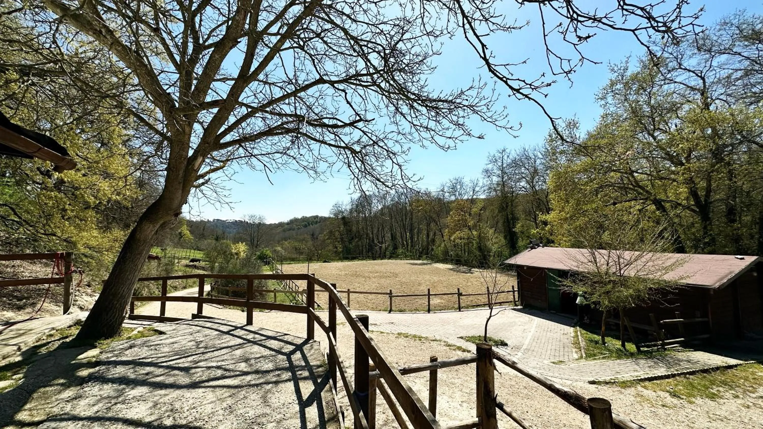 Night in the Wood Sorbo