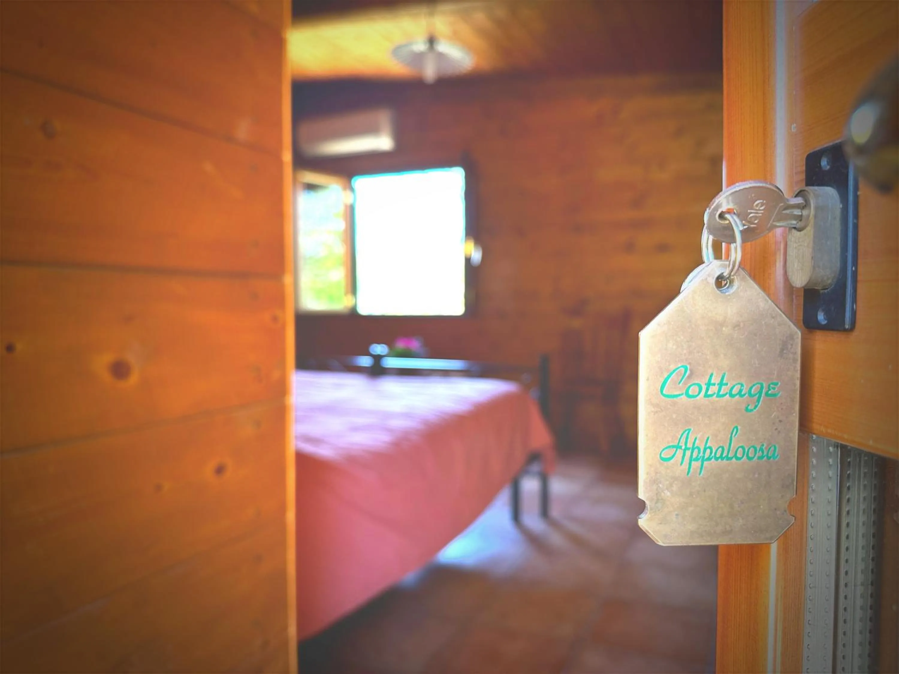 Bed in Night in the Wood Sorbo