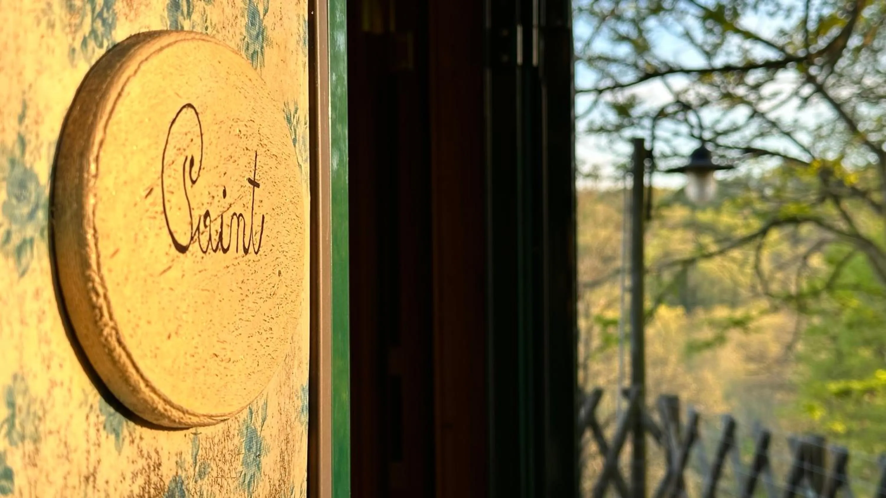 Night in the Wood Sorbo