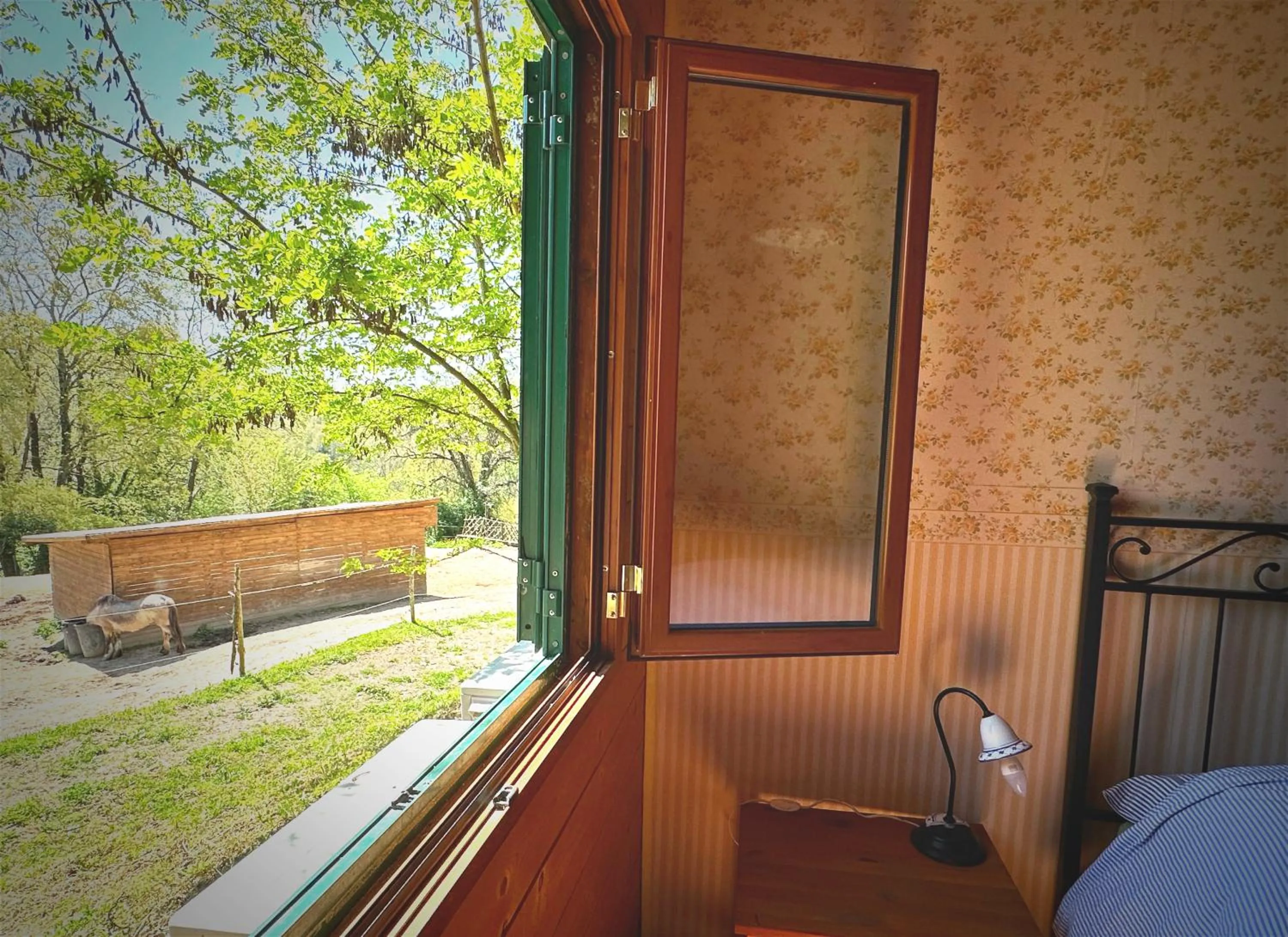 Night in the Wood Sorbo