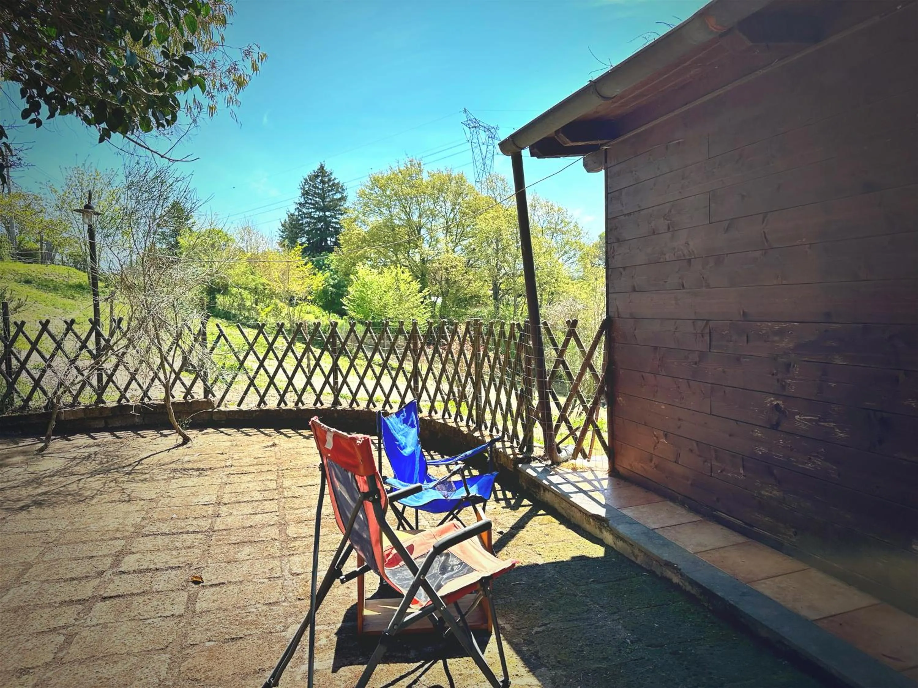 Night in the Wood Sorbo