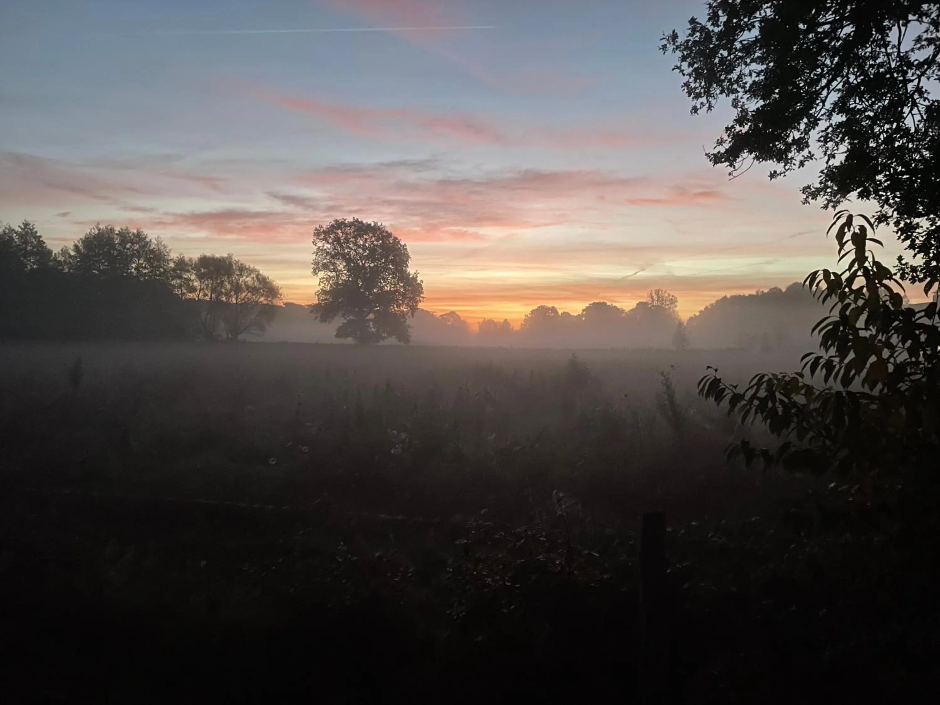 Natural landscape in De Postelhoek B&B