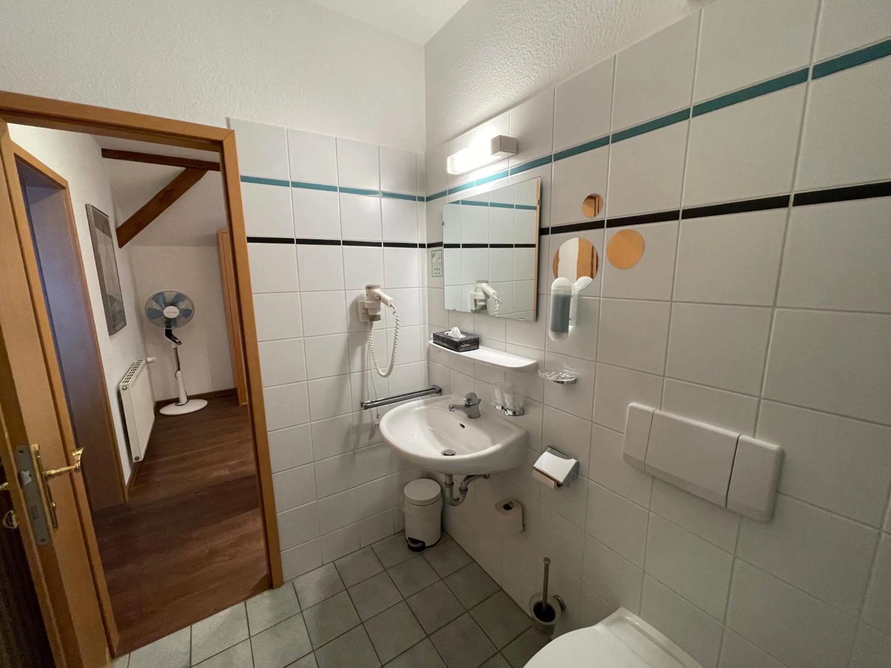 Shower in Hotel Luther Birke Wittenberg