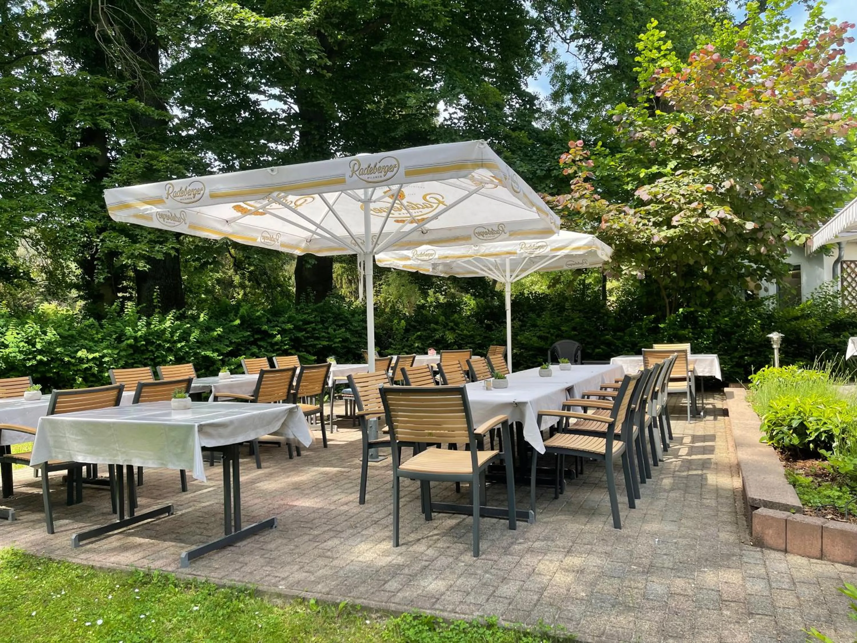 Restaurant/places to eat in Hotel Luther Birke Wittenberg