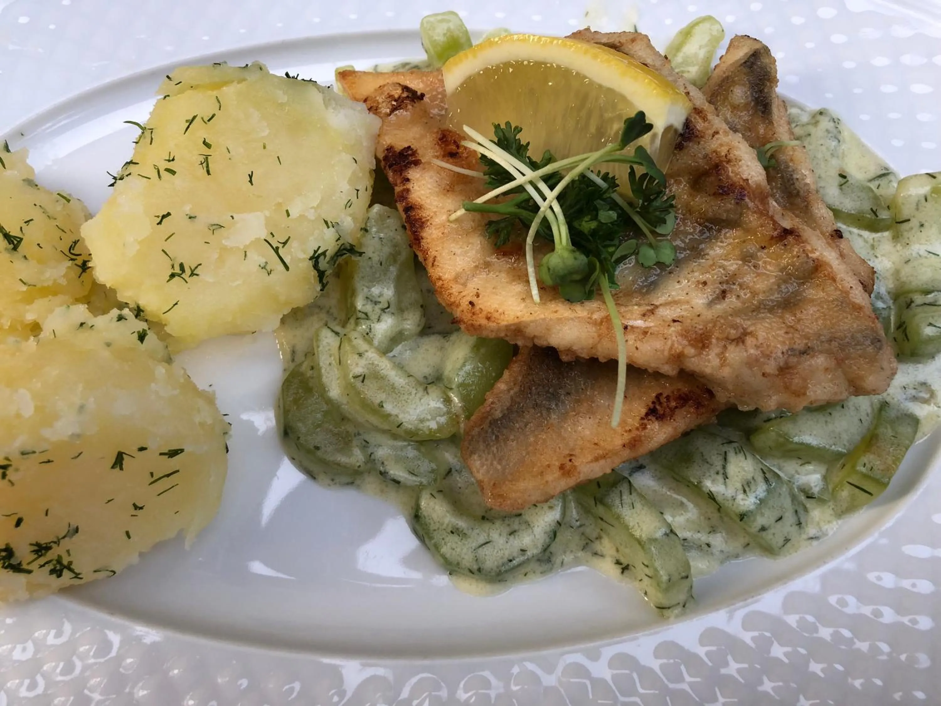 Restaurant/places to eat in Hotel Luther Birke Wittenberg