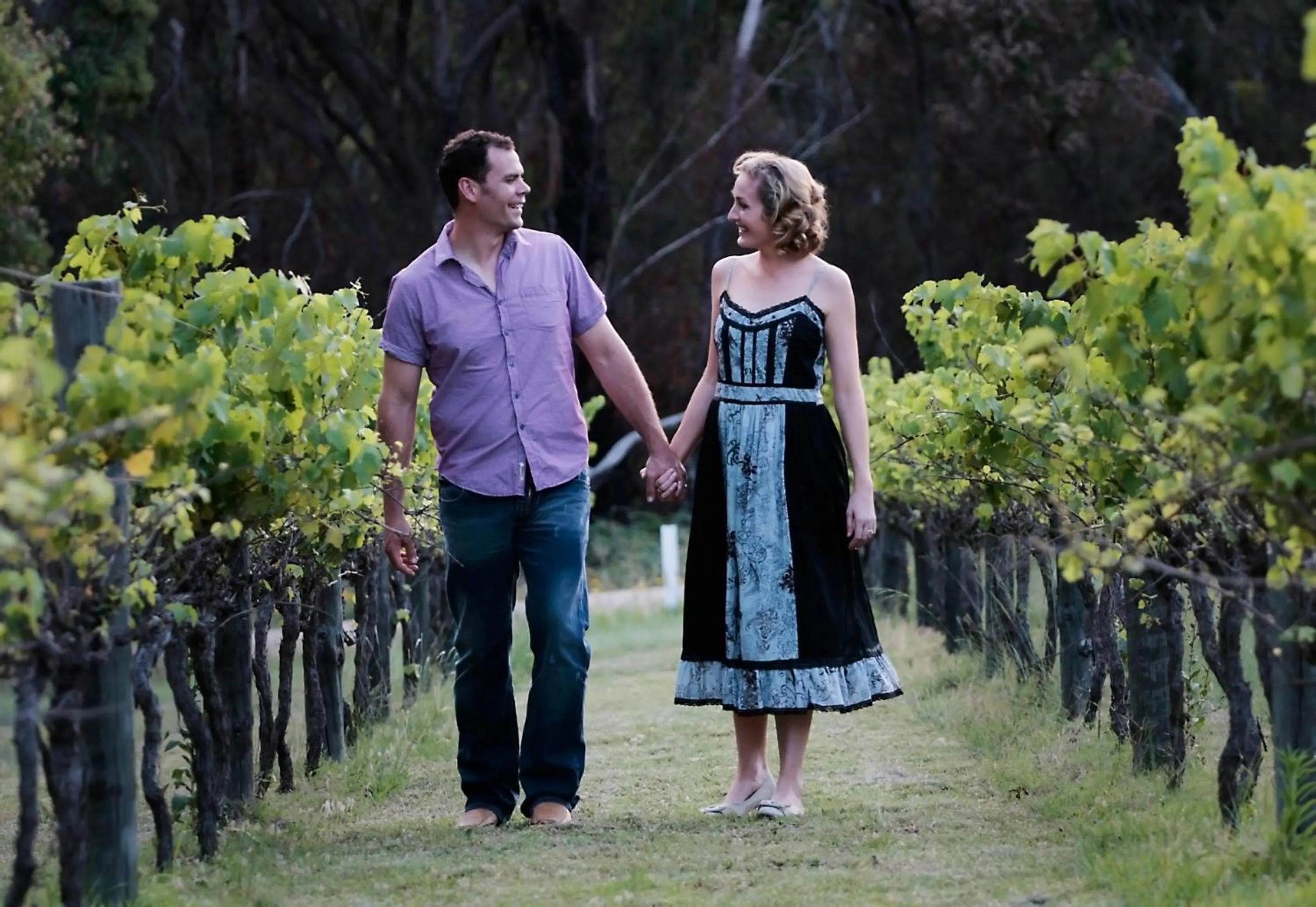 Area and facilities in Granite Belt Retreat and Brewery