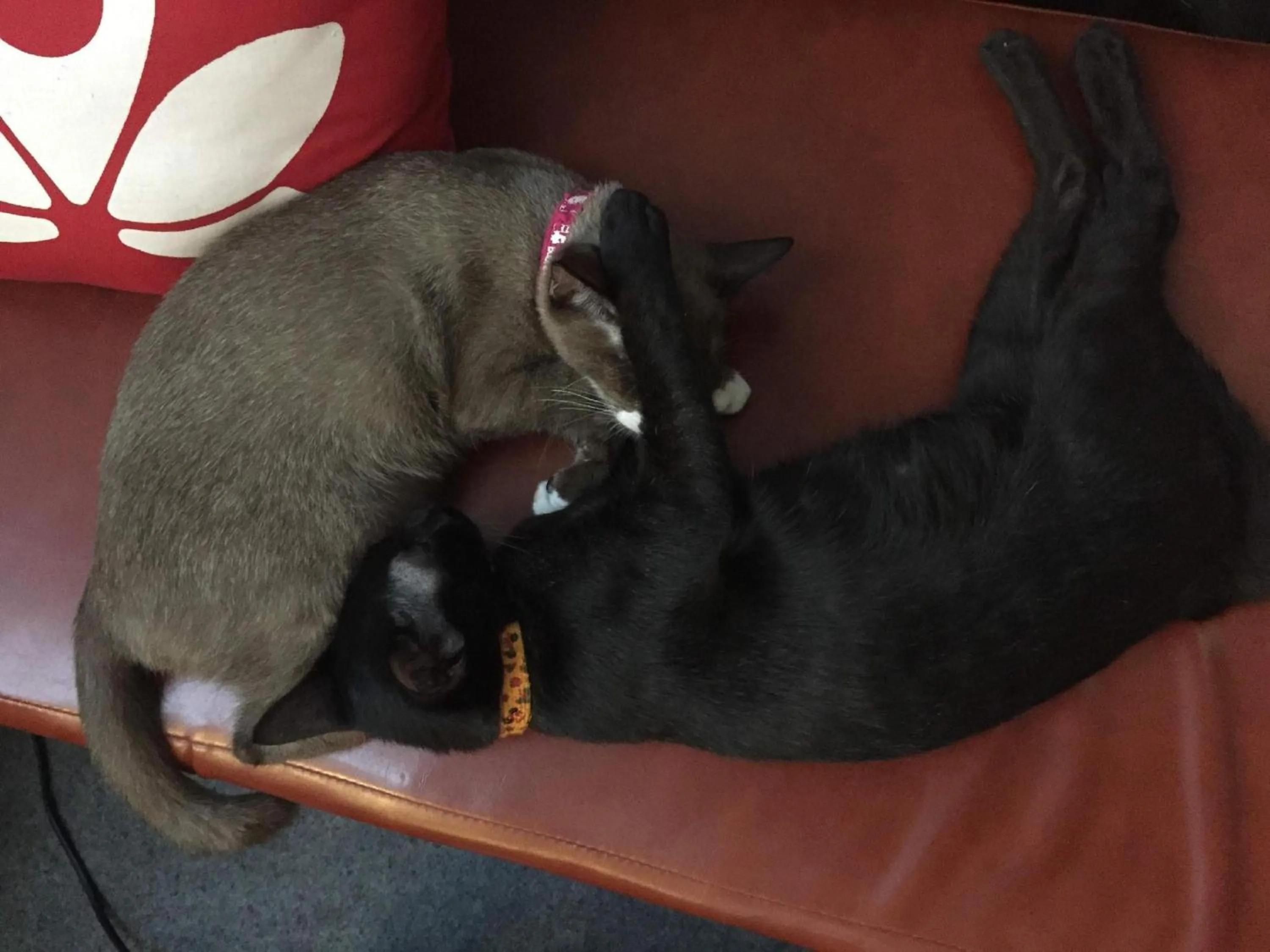 Lobby or reception in Bangkok Hub Hostel