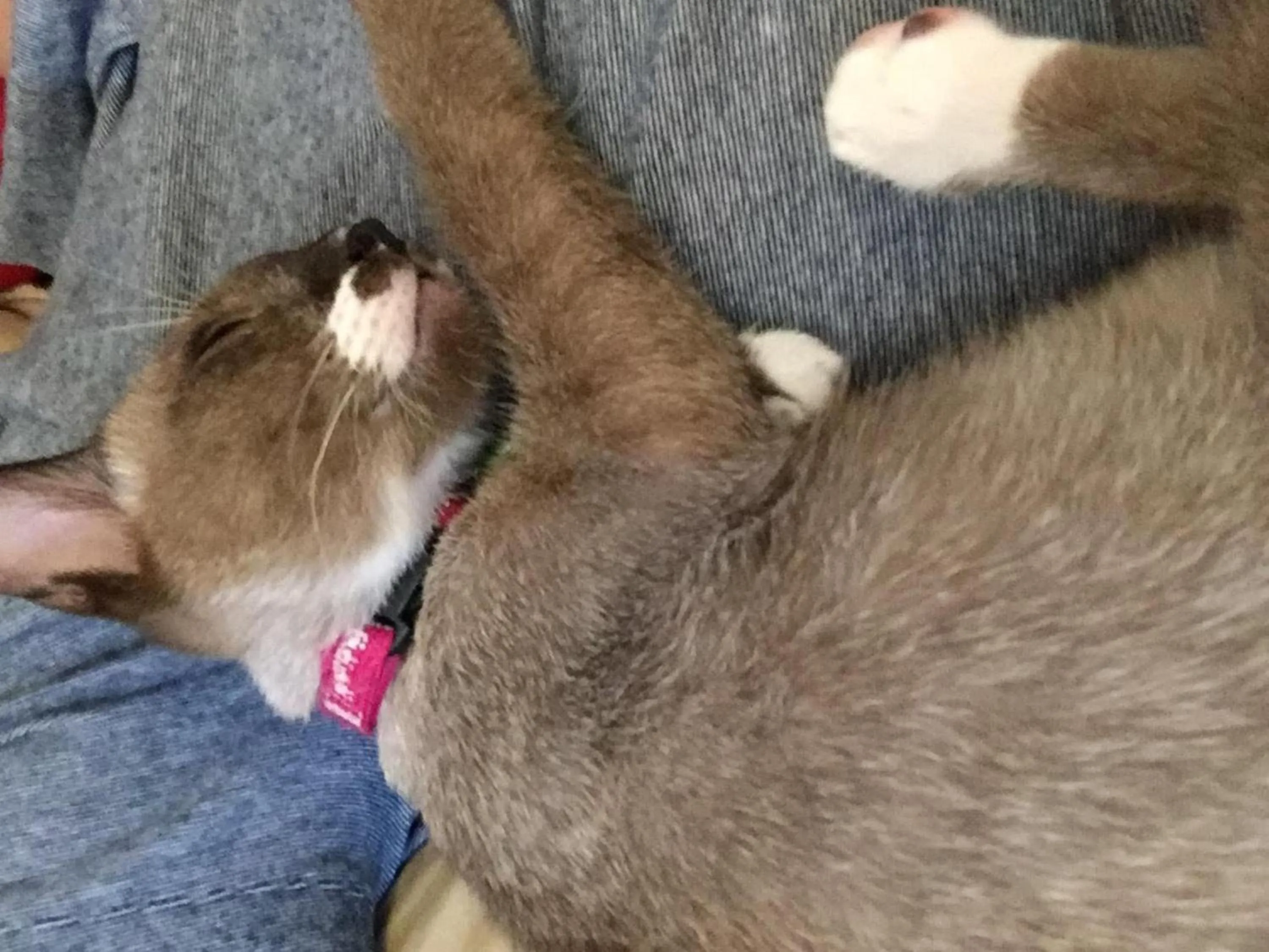 Lobby or reception in Bangkok Hub Hostel