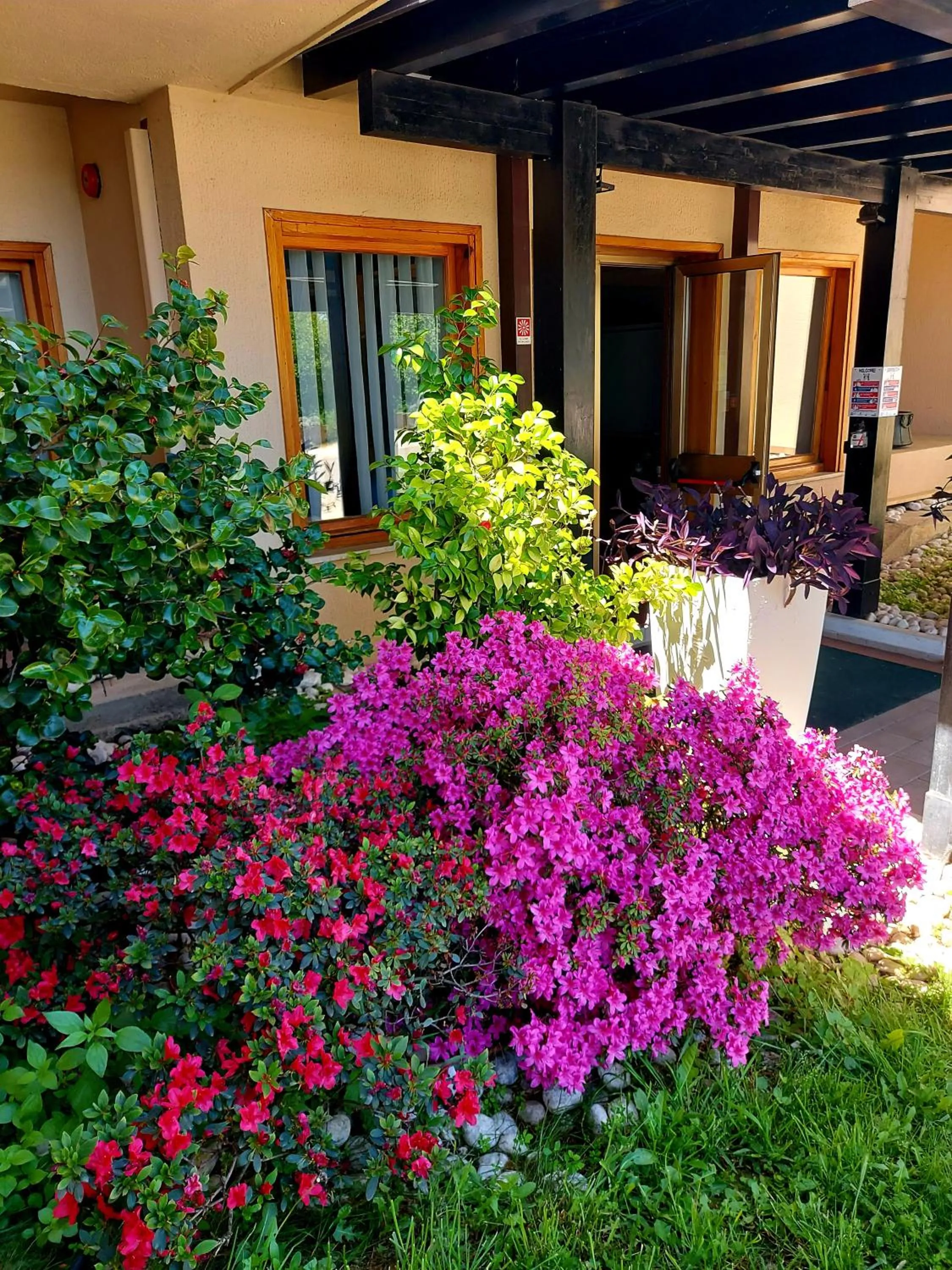 Garden in Montebello Park Hotel