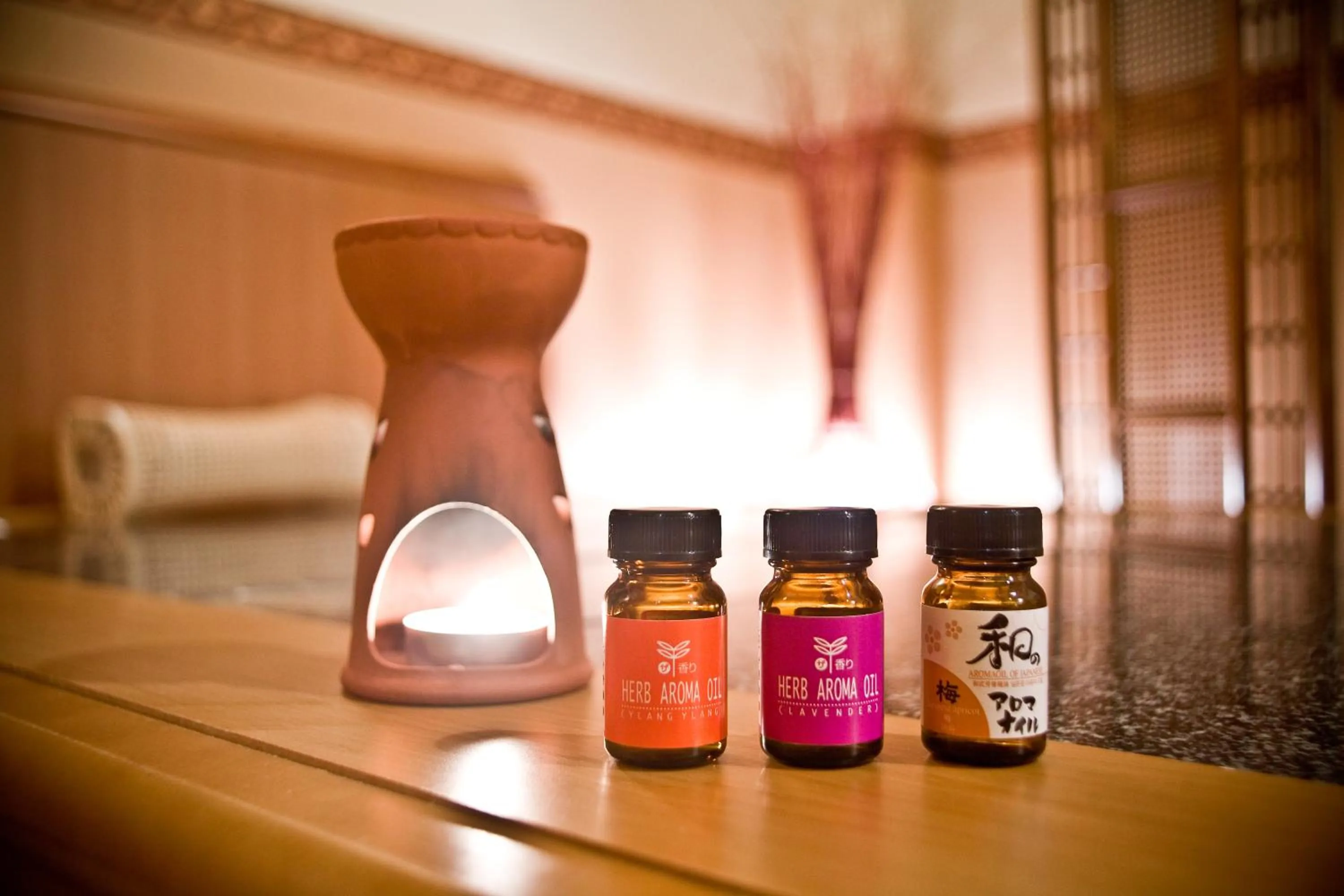 Other in Kuretake-INN HAMANAKO