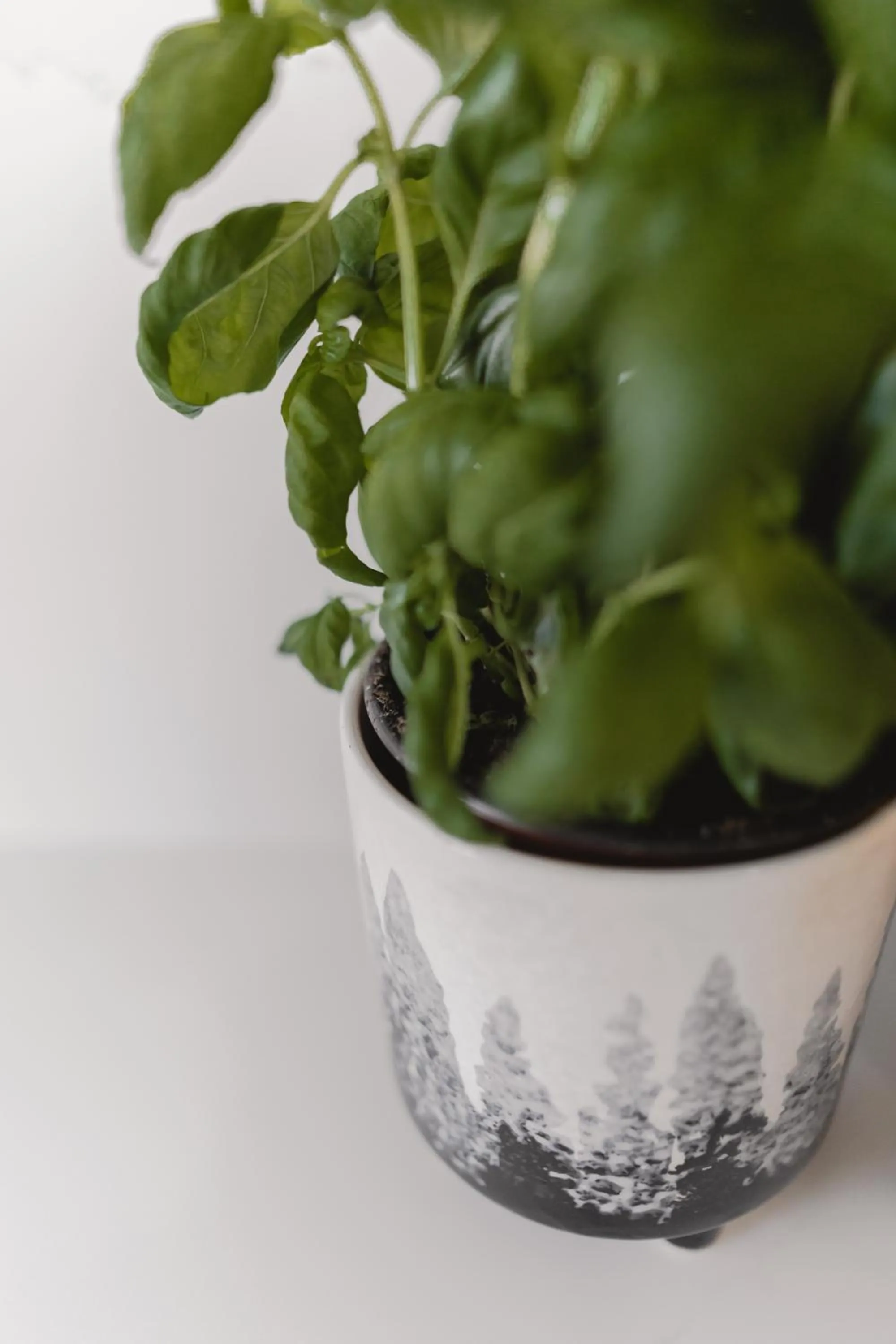 PRESIDENTIAL SUITE MOUNTAIN/LAKE VIEWS w/HEATED POOLS- PGA WEST