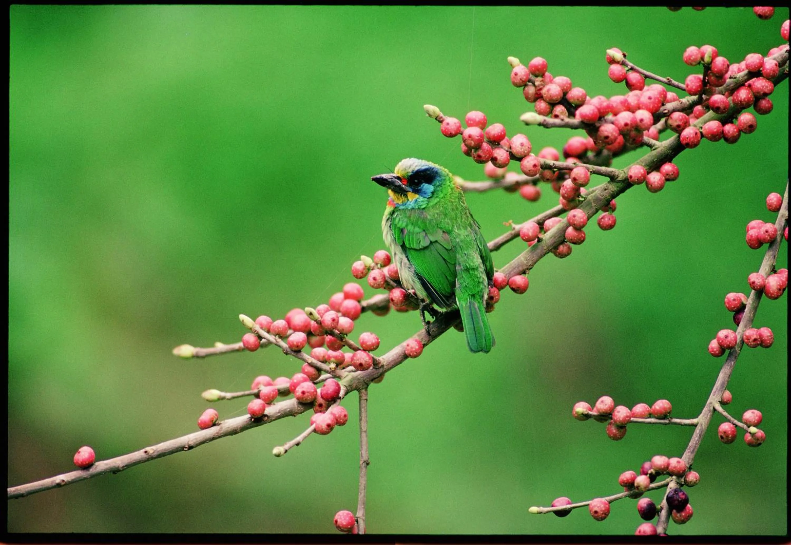 View (from property/room) in Atunas Holiday Country