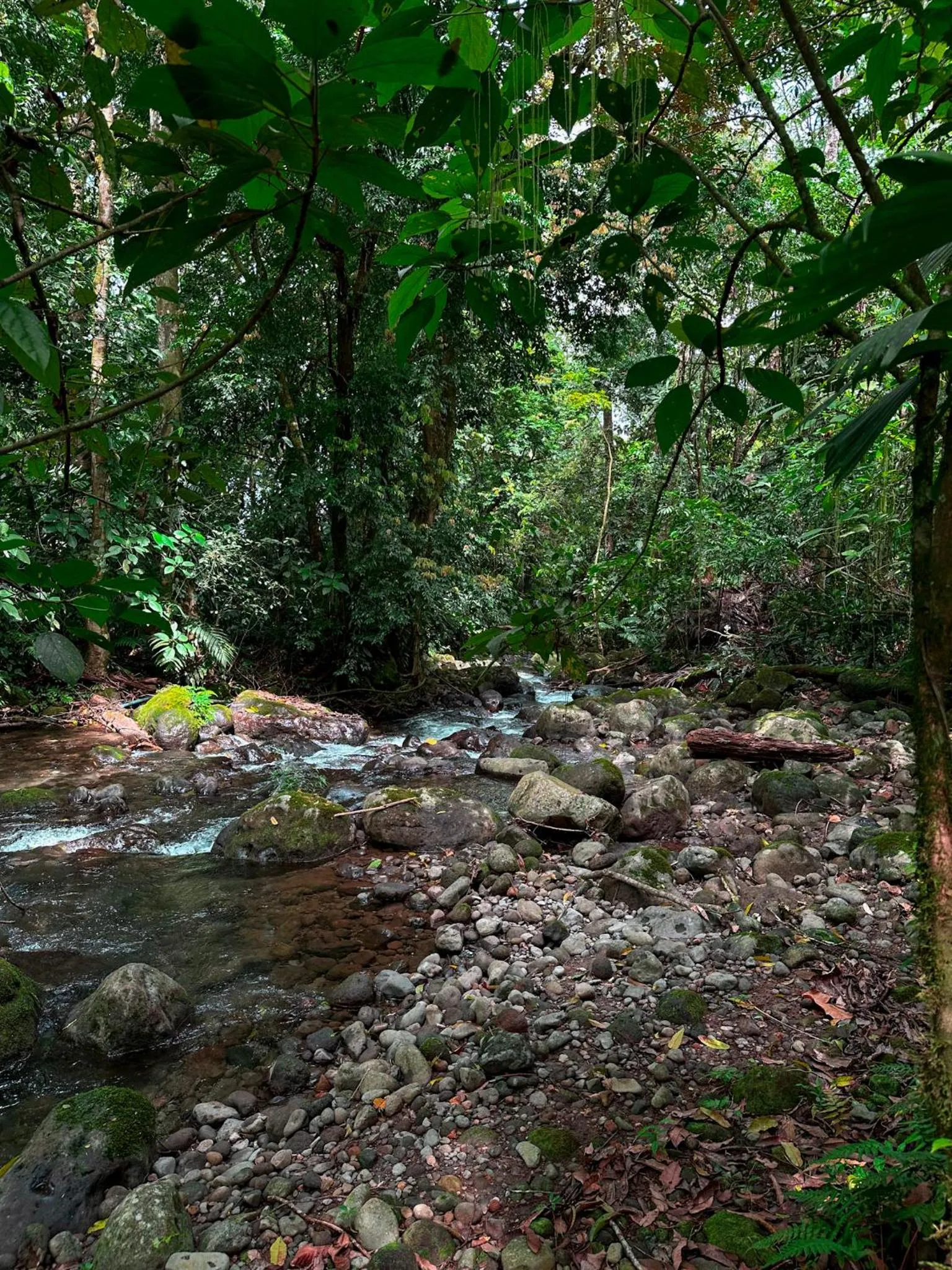 River view in Cabañas Río Escondido en La Fortuna