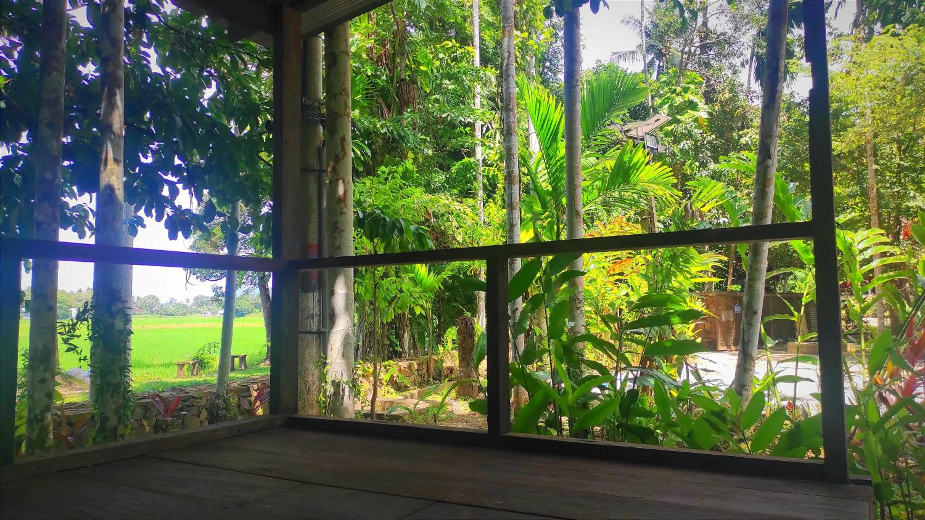 S`ekar Pinang Langkawi