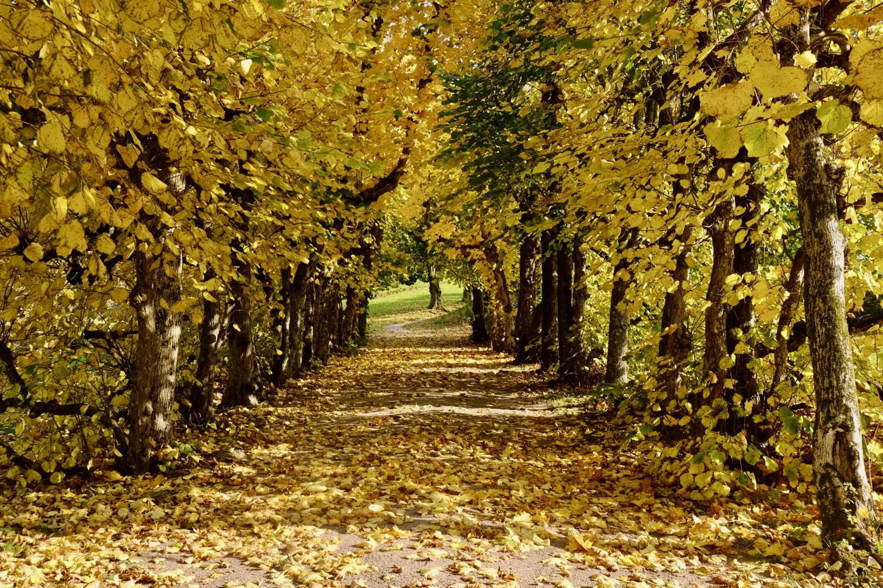Property building in Boen Gård