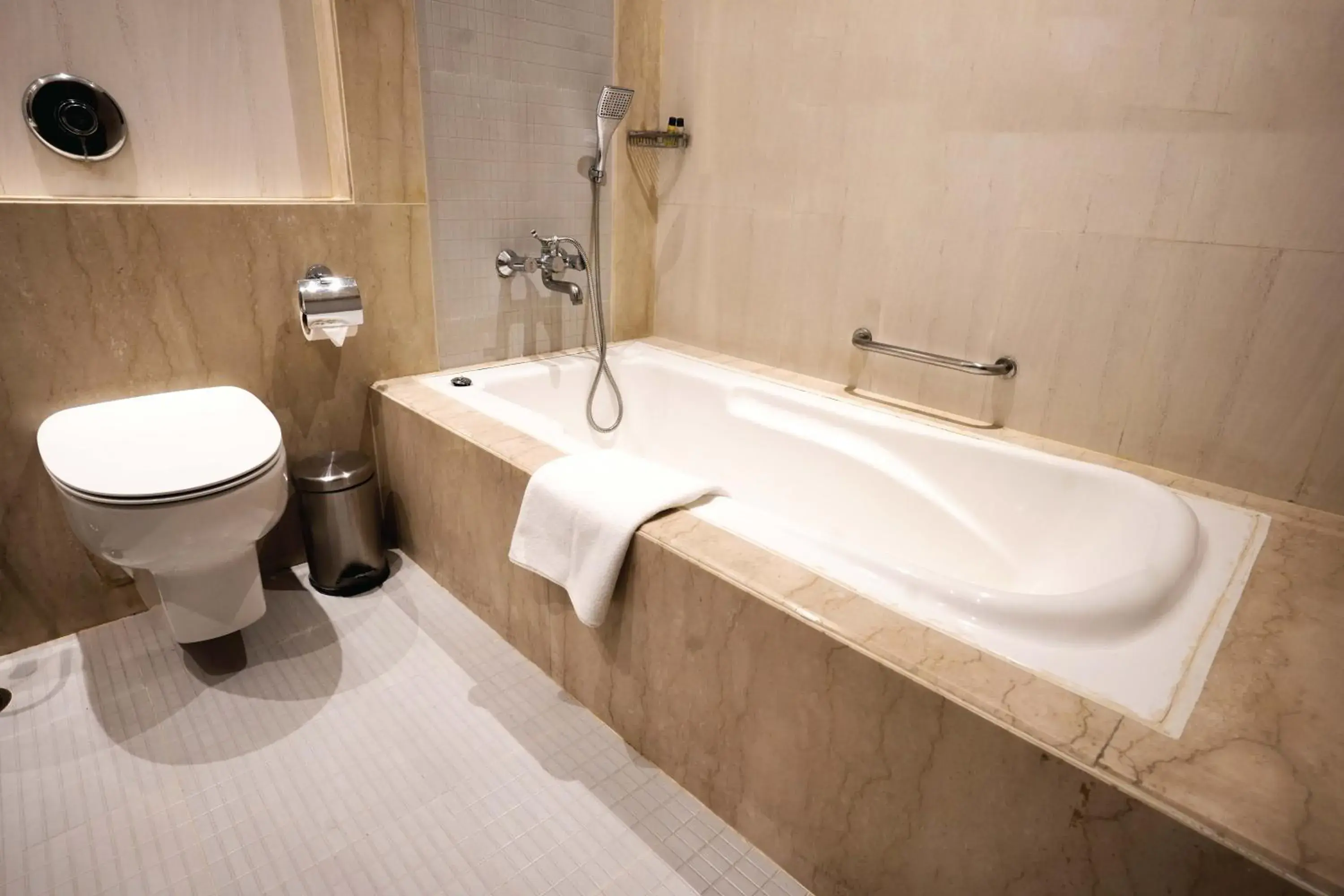 Grand Chanakya Suite - single occupancy in Leisure Inn Grand Chanakya Grand Chanakya Suite - single occupancy in Leisure Inn Grand Chanakya