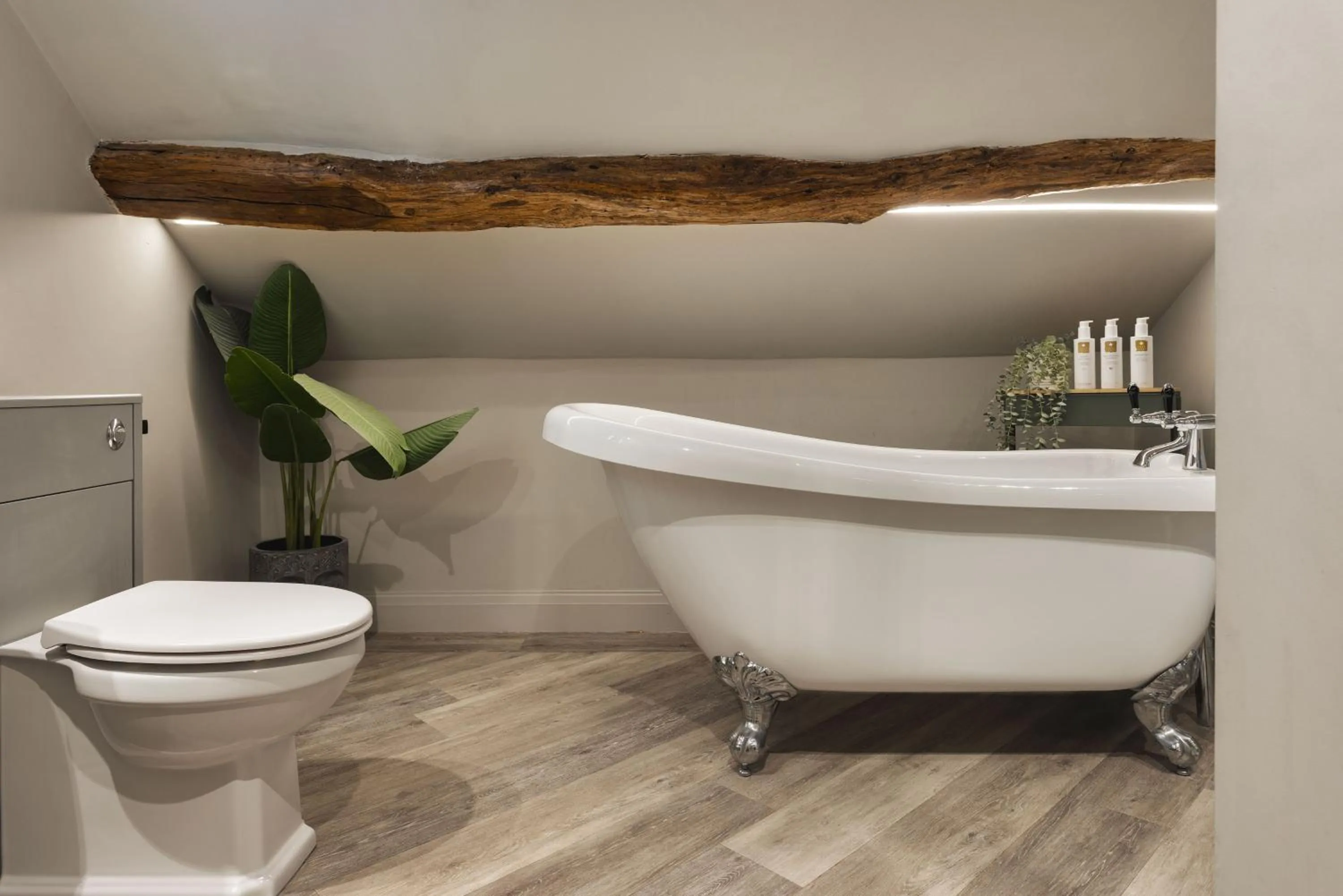 The Hive at Poppi-Red