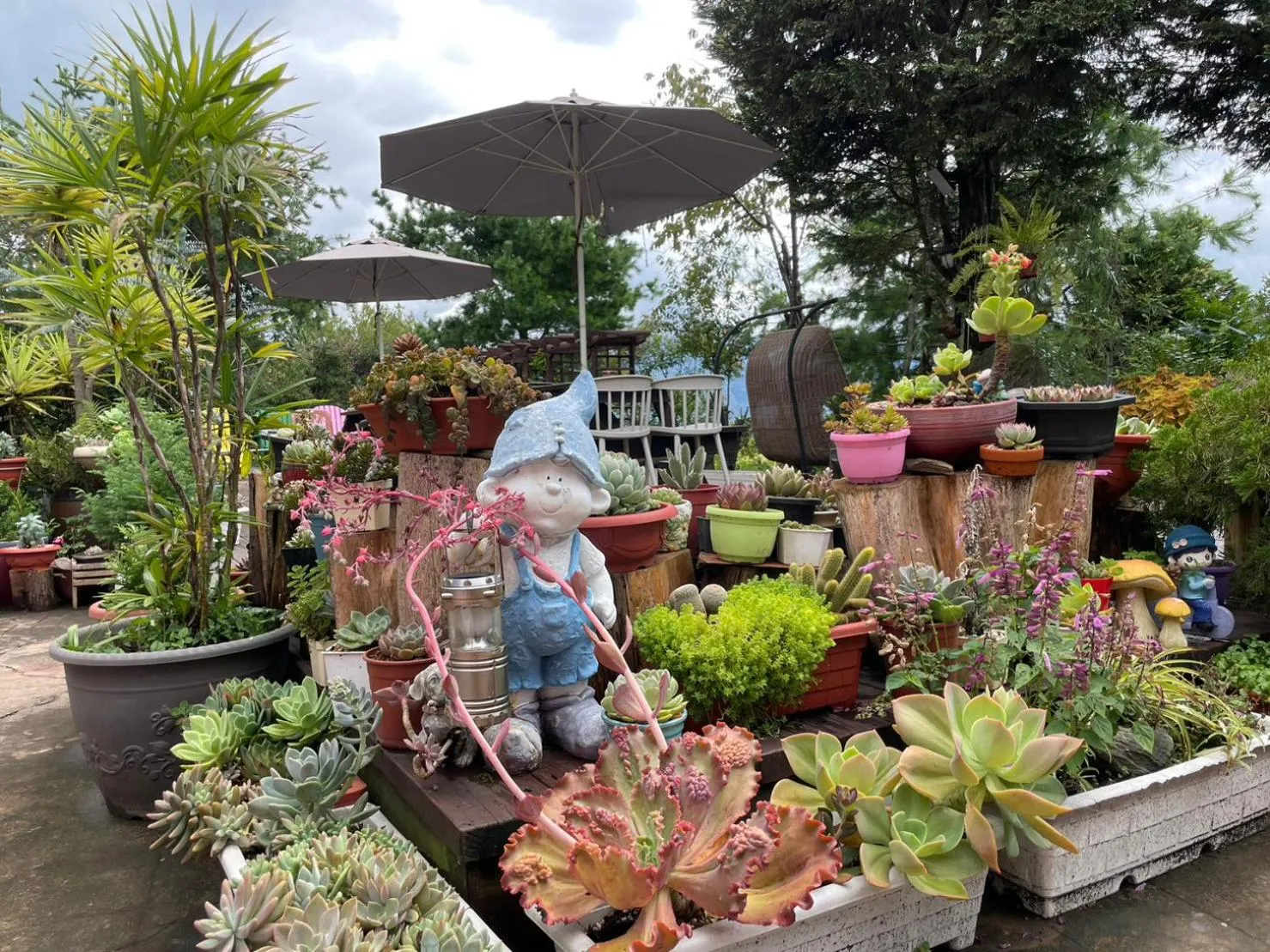 Garden view in Julie's Garden, Cingjing - Fon Chin Homestay