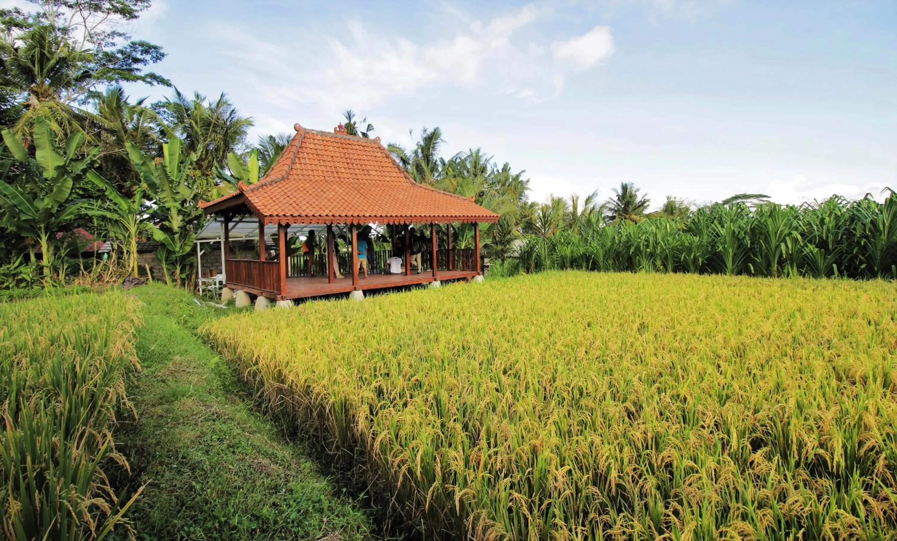 Alam Kawi Ubud Resort & Spa By Island Escape