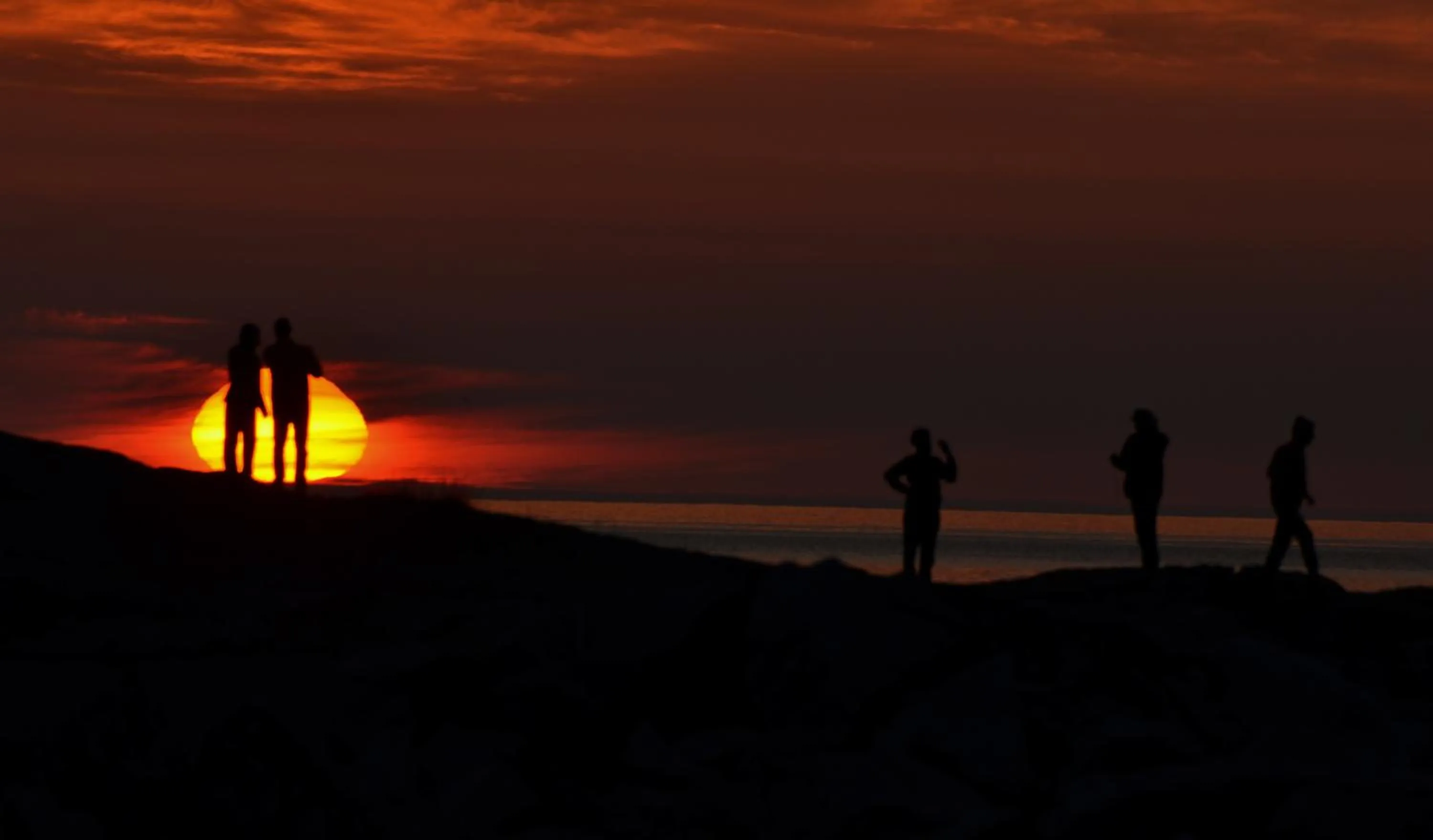 Summer in Mefjord Brygge