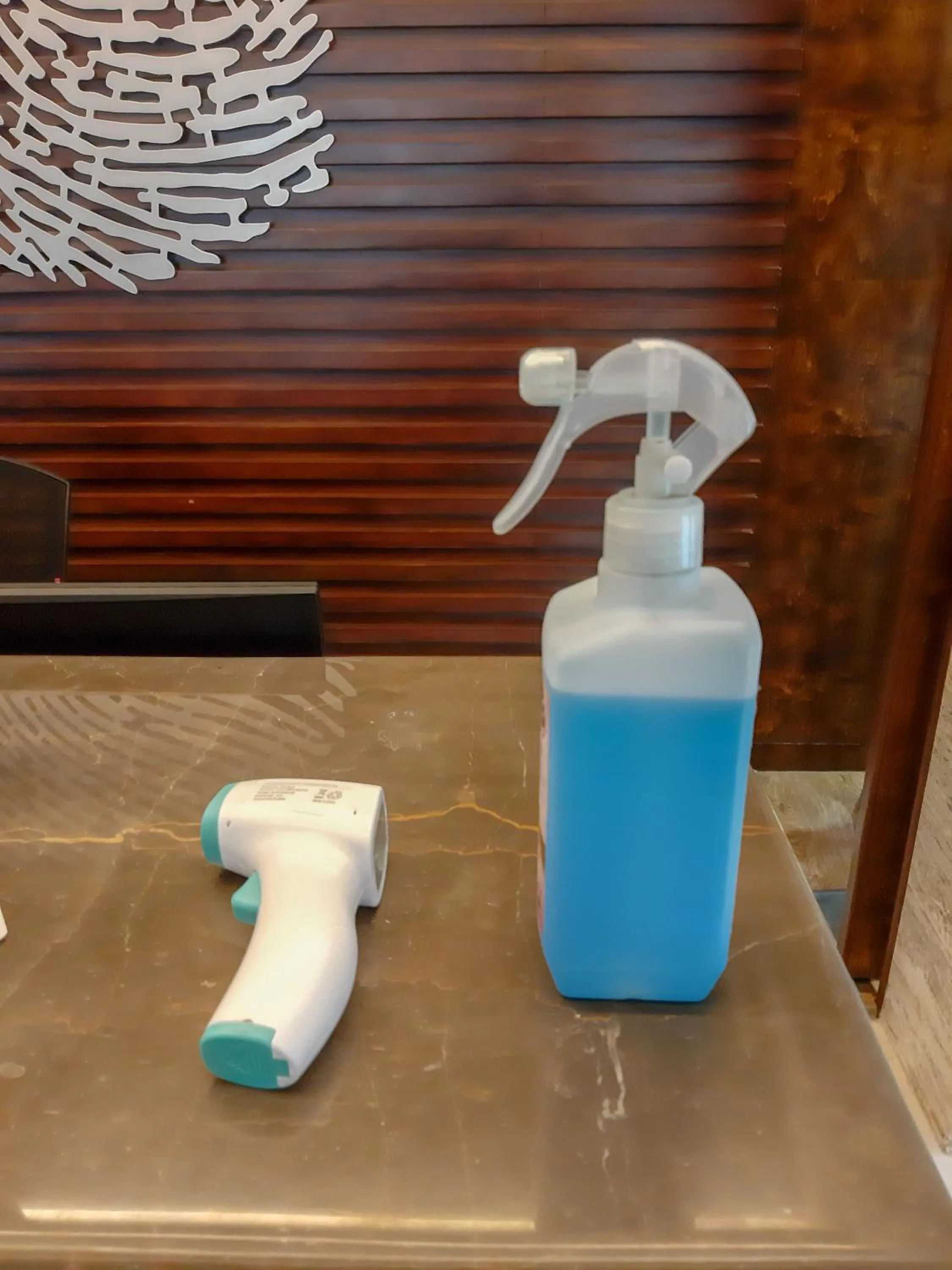 Other in The Saibaba Hotel