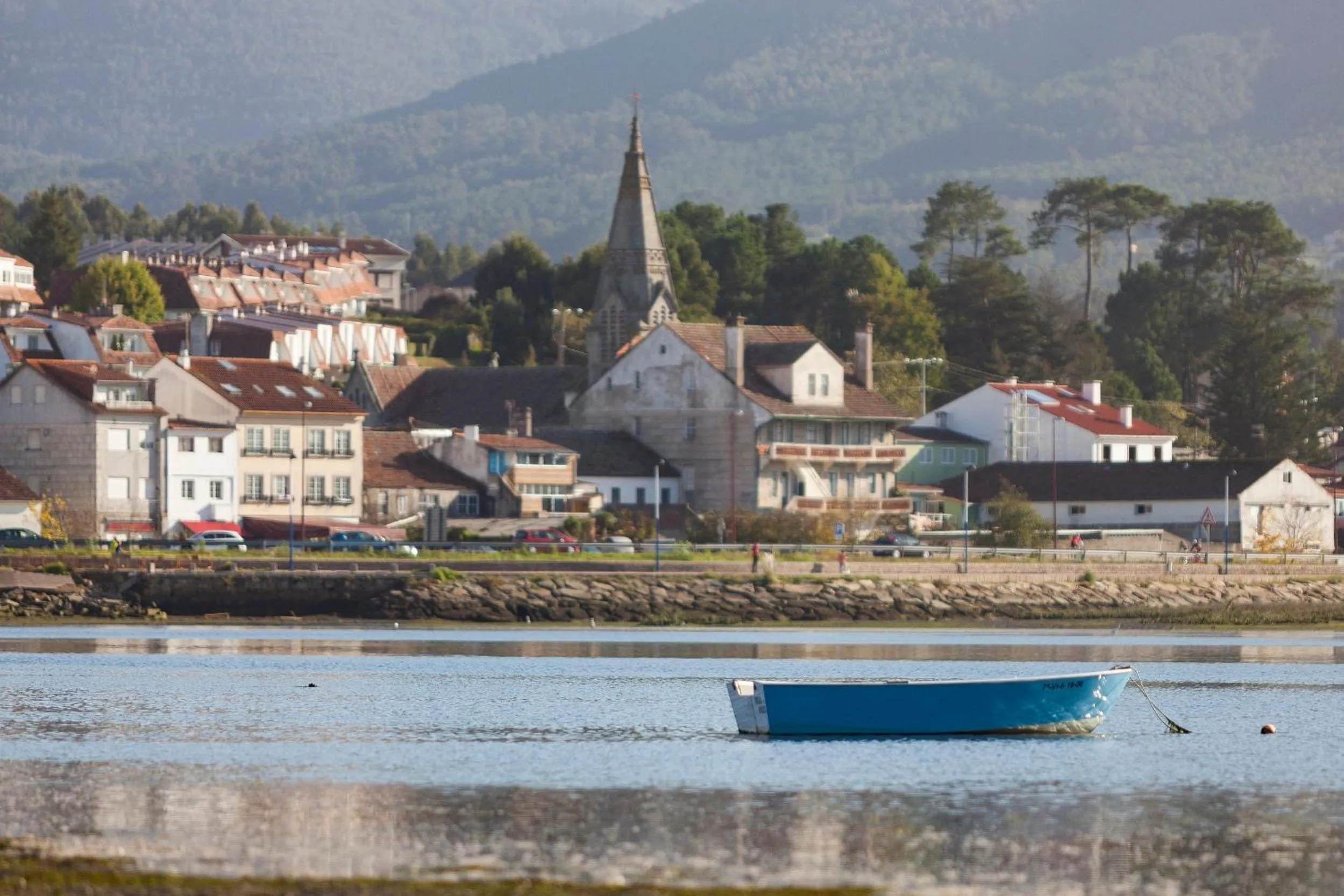 Natural landscape in Hotel Arce