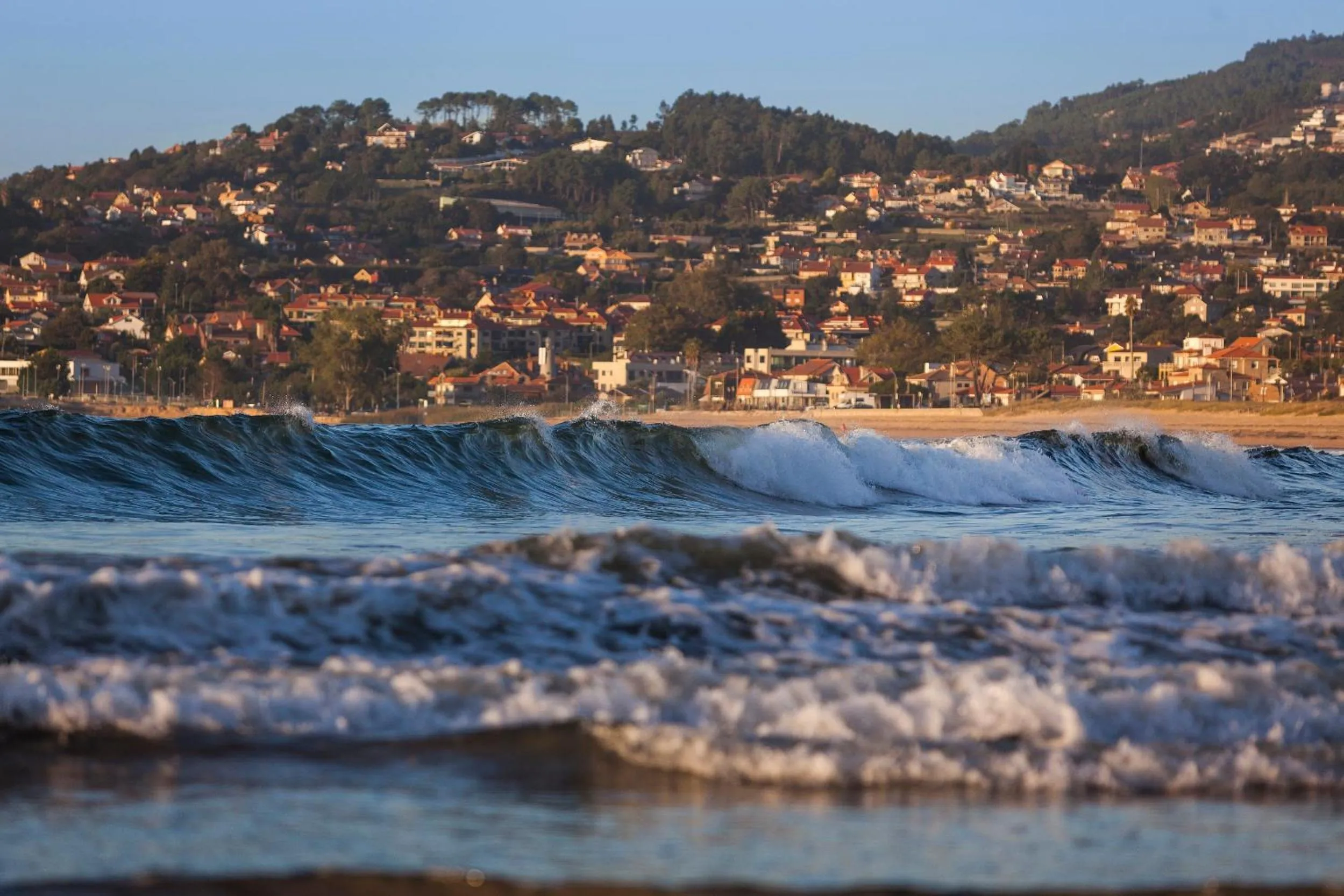 Natural landscape in Hotel Arce