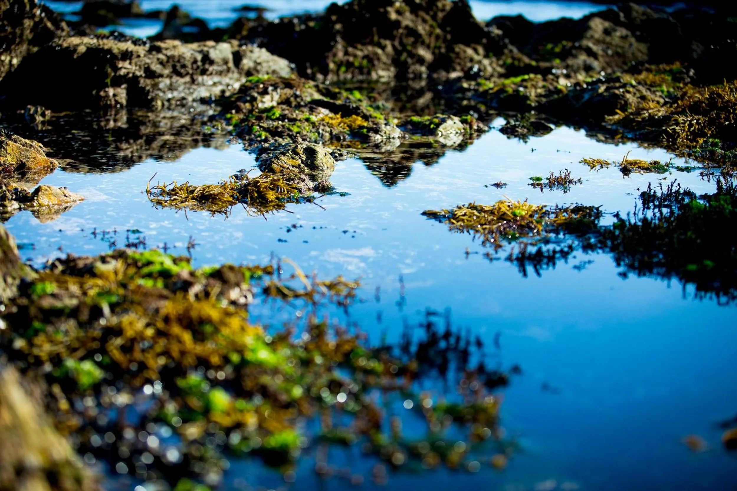 Natural landscape in Hotel Arce