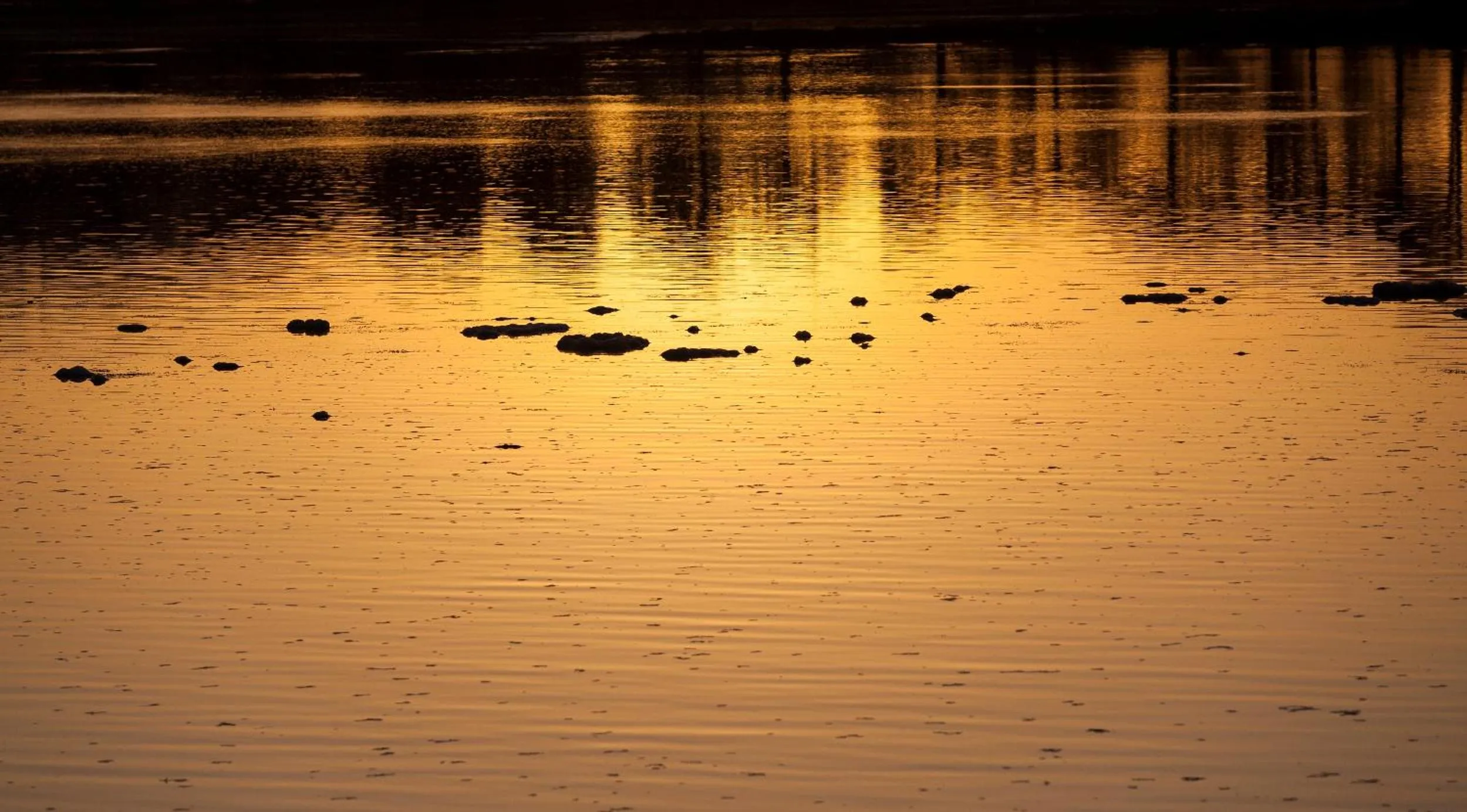Natural landscape in Hotel Arce