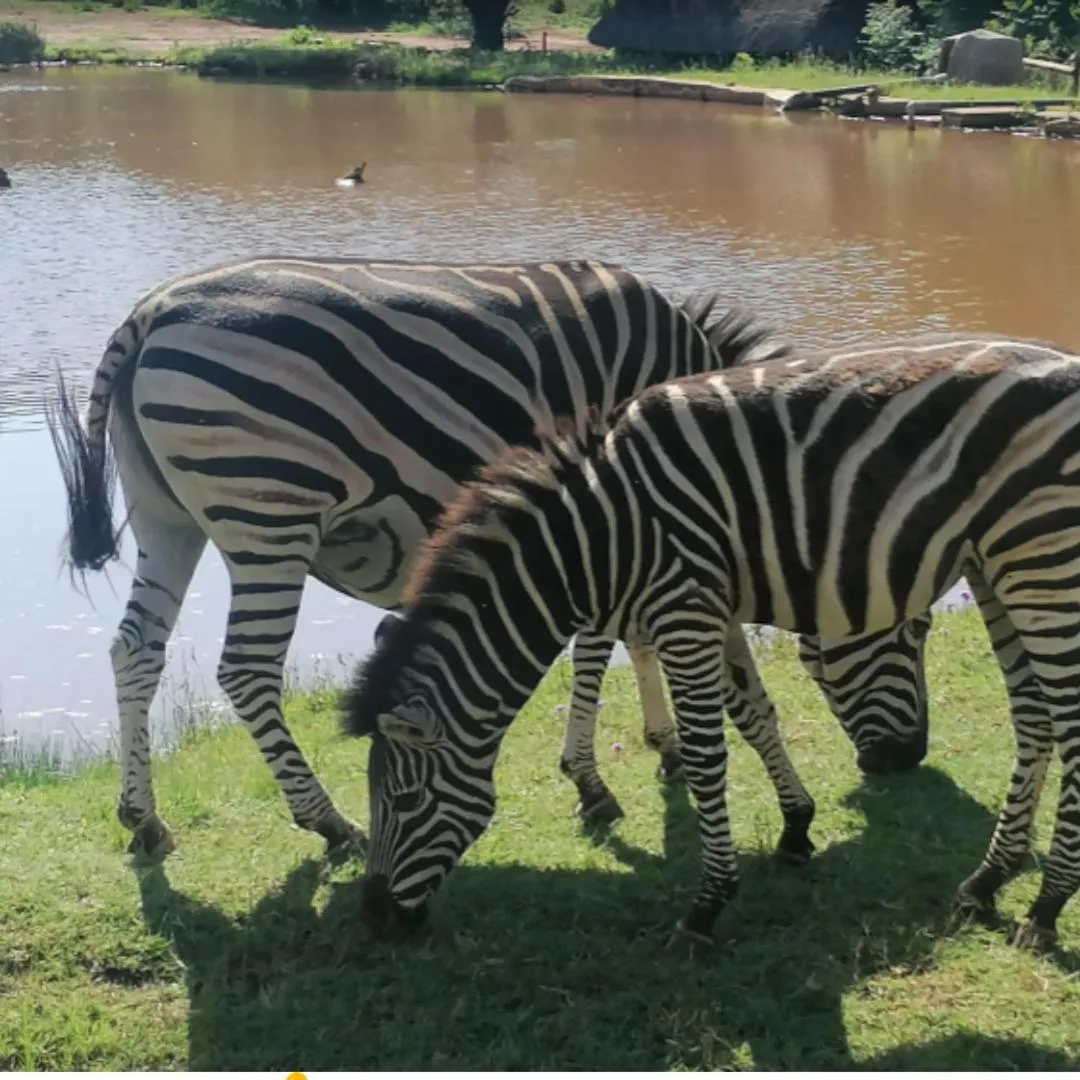 Glen Afric Country Lodge