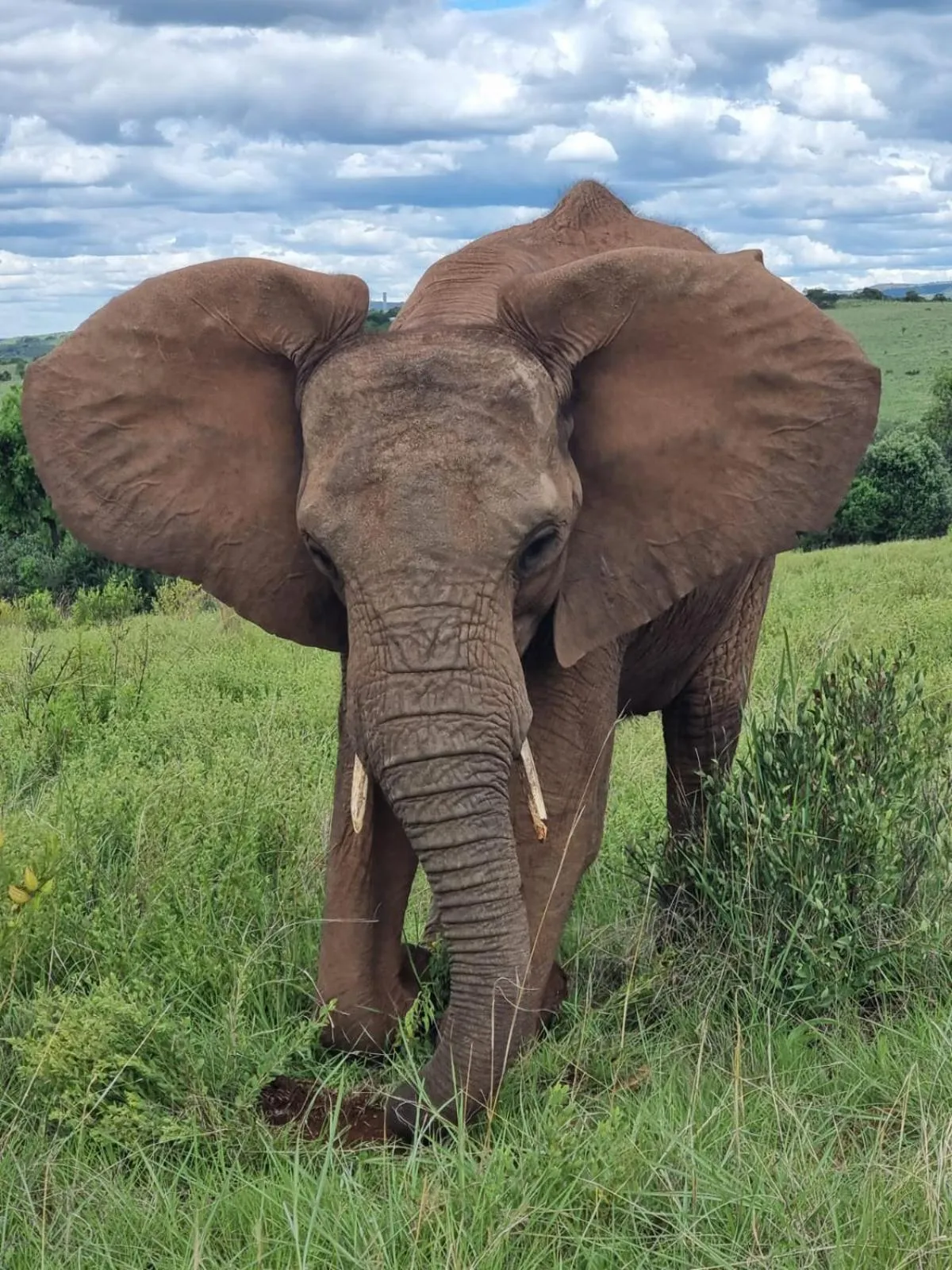 Glen Afric Country Lodge
