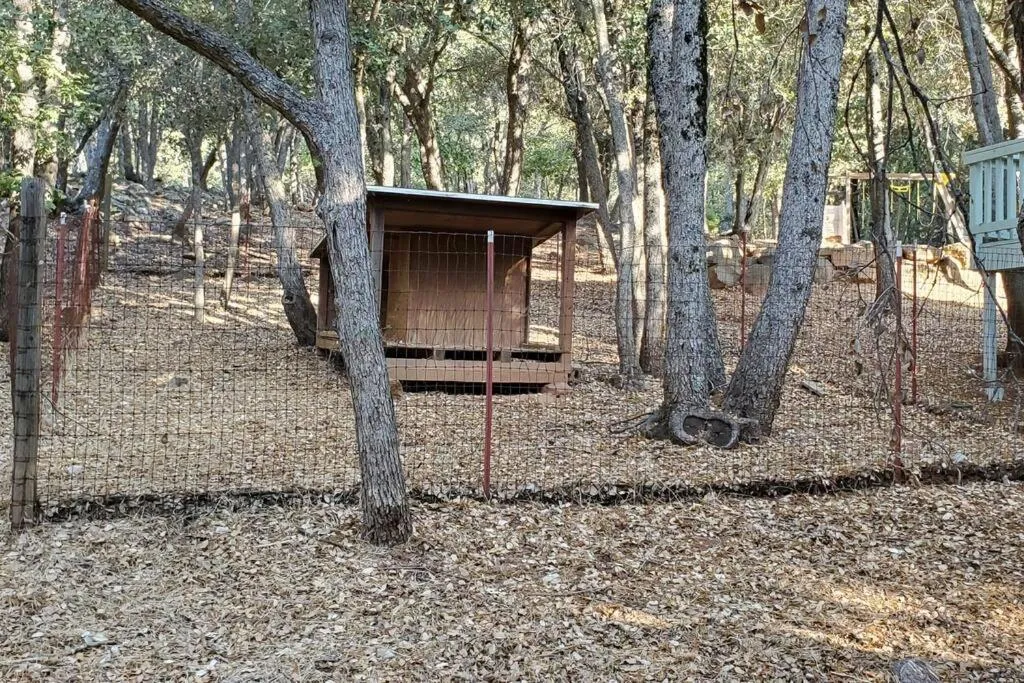Natural landscape in Pine Hills Cabin in Julian