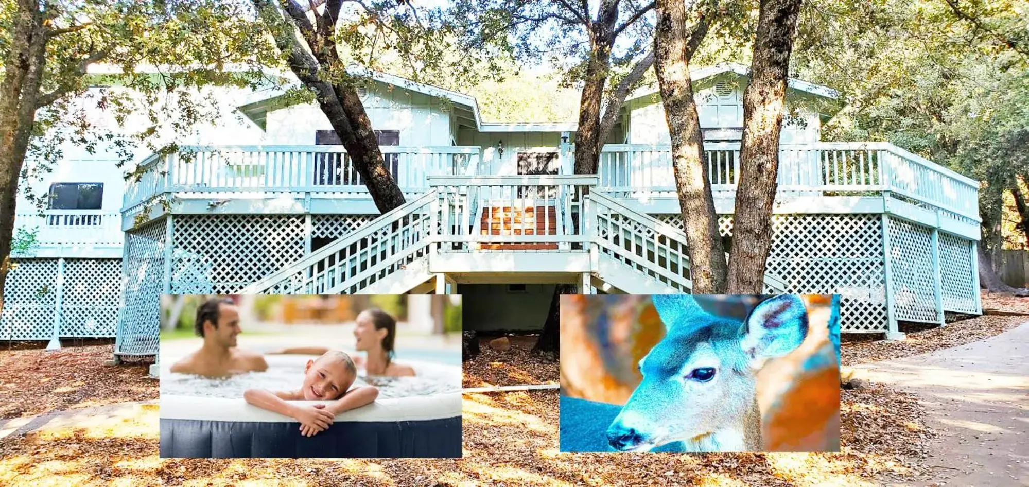 Pine Hills Cabin in Julian Pine Hills Cabin in Julian