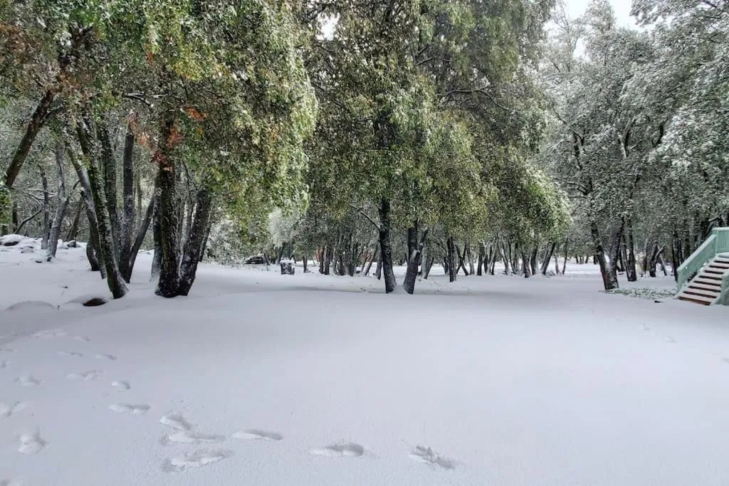 Winter in Pine Hills Cabin in Julian