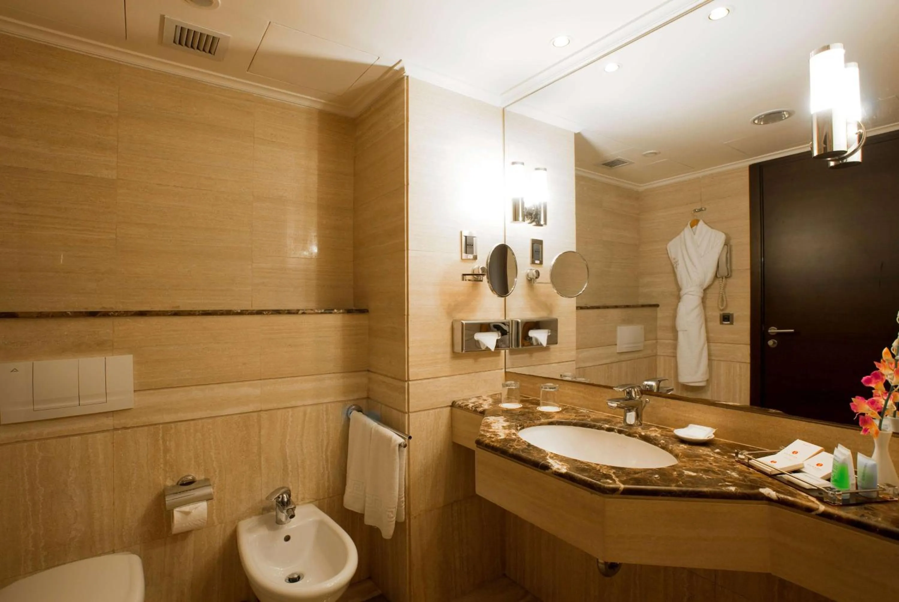 TV and multimedia in Ramada Plaza by Wyndham Beirut Raouche