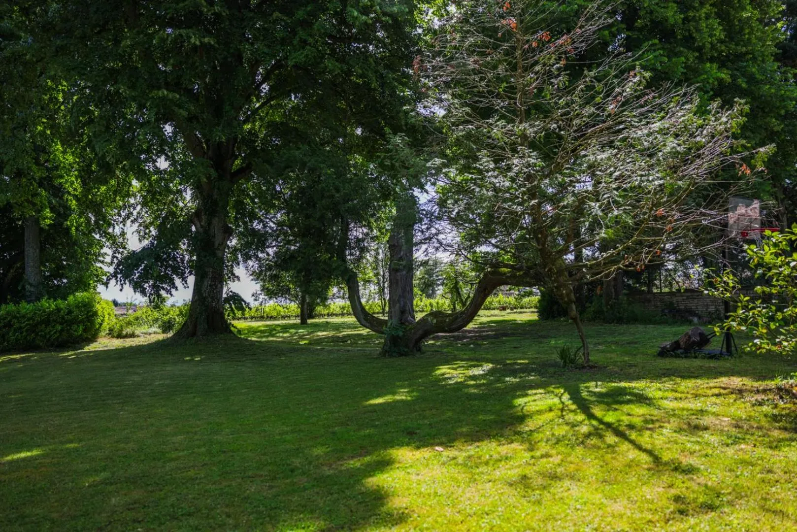 Spring in Clos Ceres